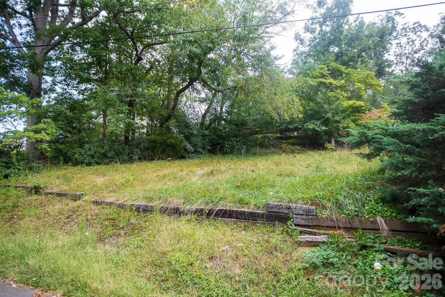 99999 Pine Cone Drive - Photo 2