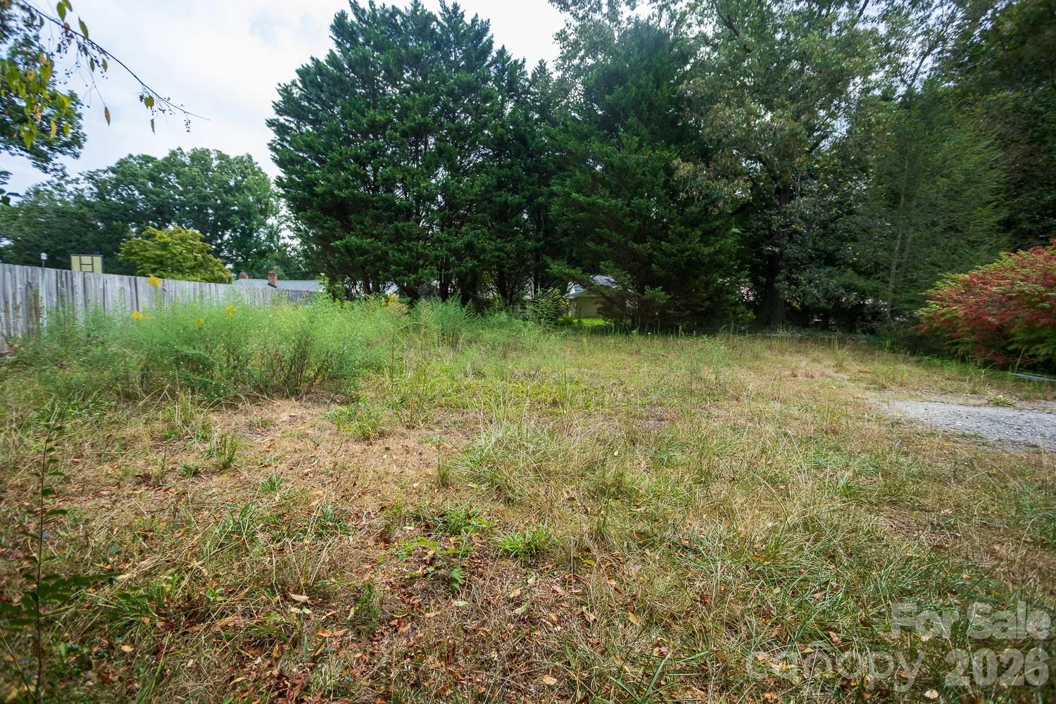 99999 Pine Cone Drive - Photo 3