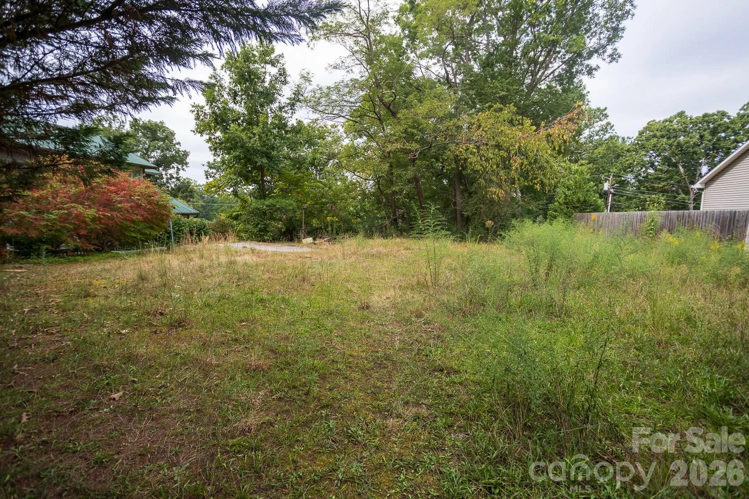 99999 Pine Cone Drive - Photo 4