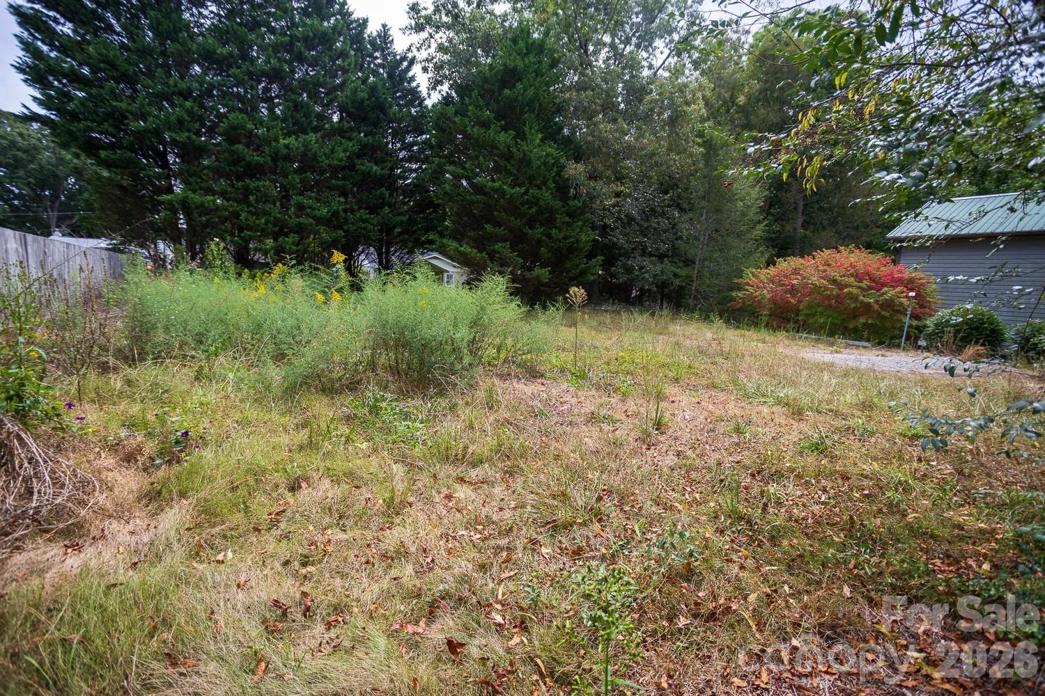 99999 Pine Cone Drive - Photo 5
