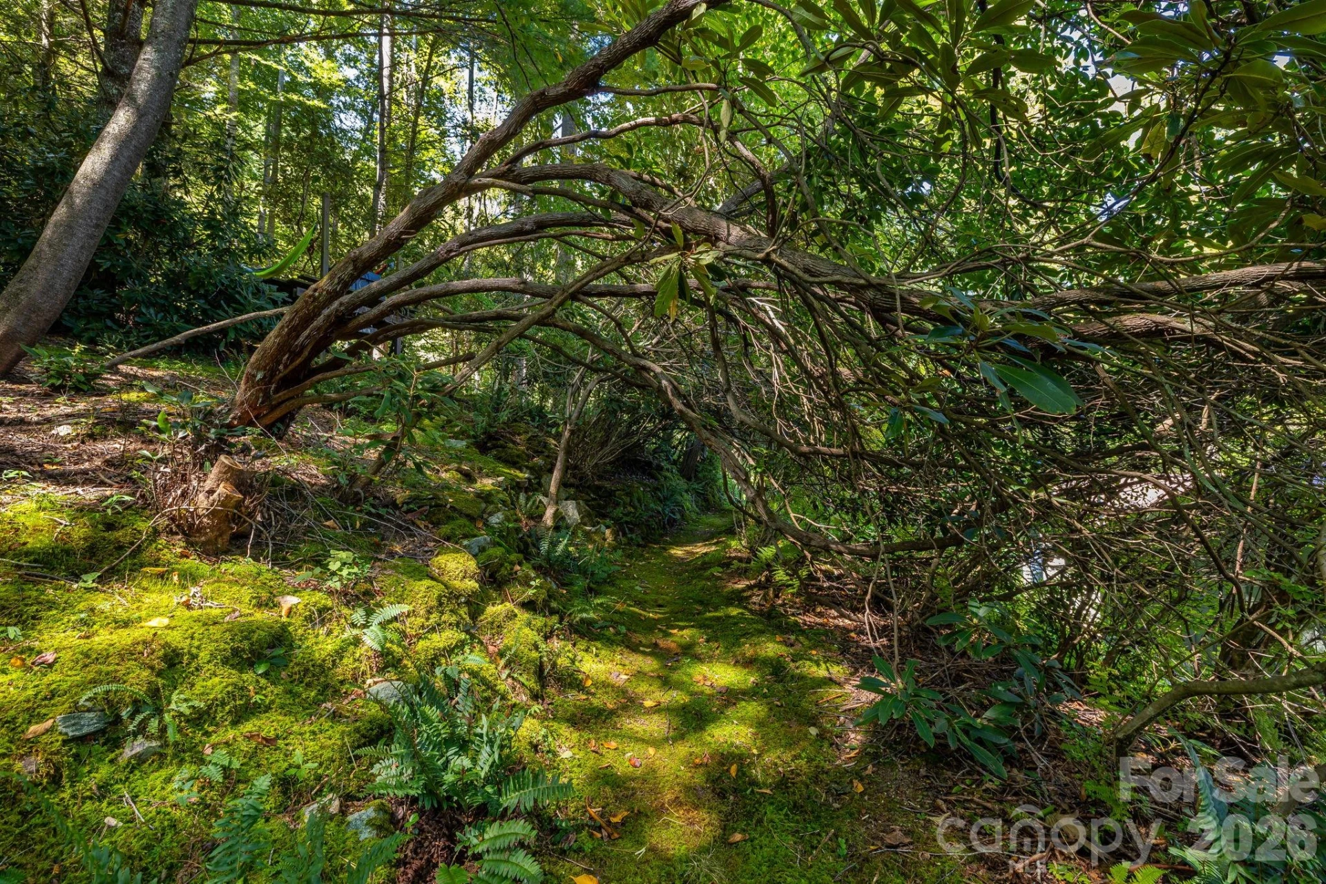 258 Old Homestead Road - Photo 41