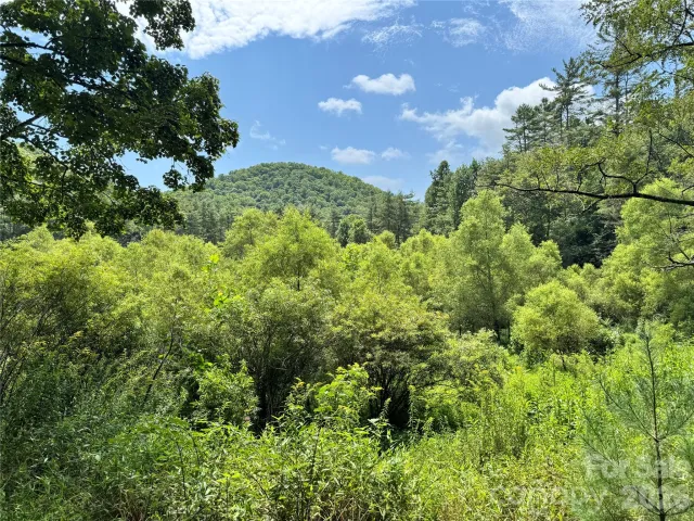 361 Rooster Cove