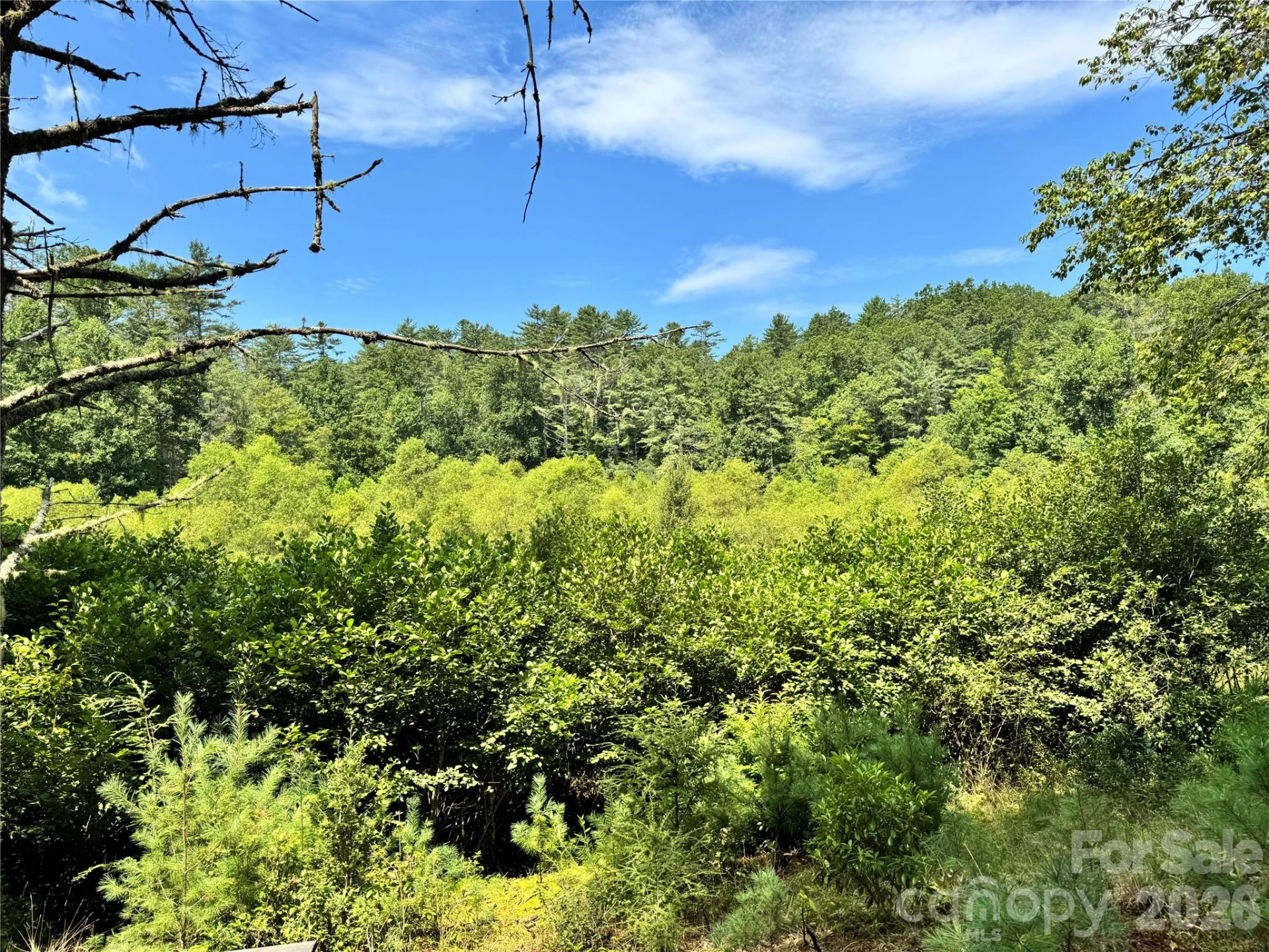 361 Rooster Cove - Photo 2
