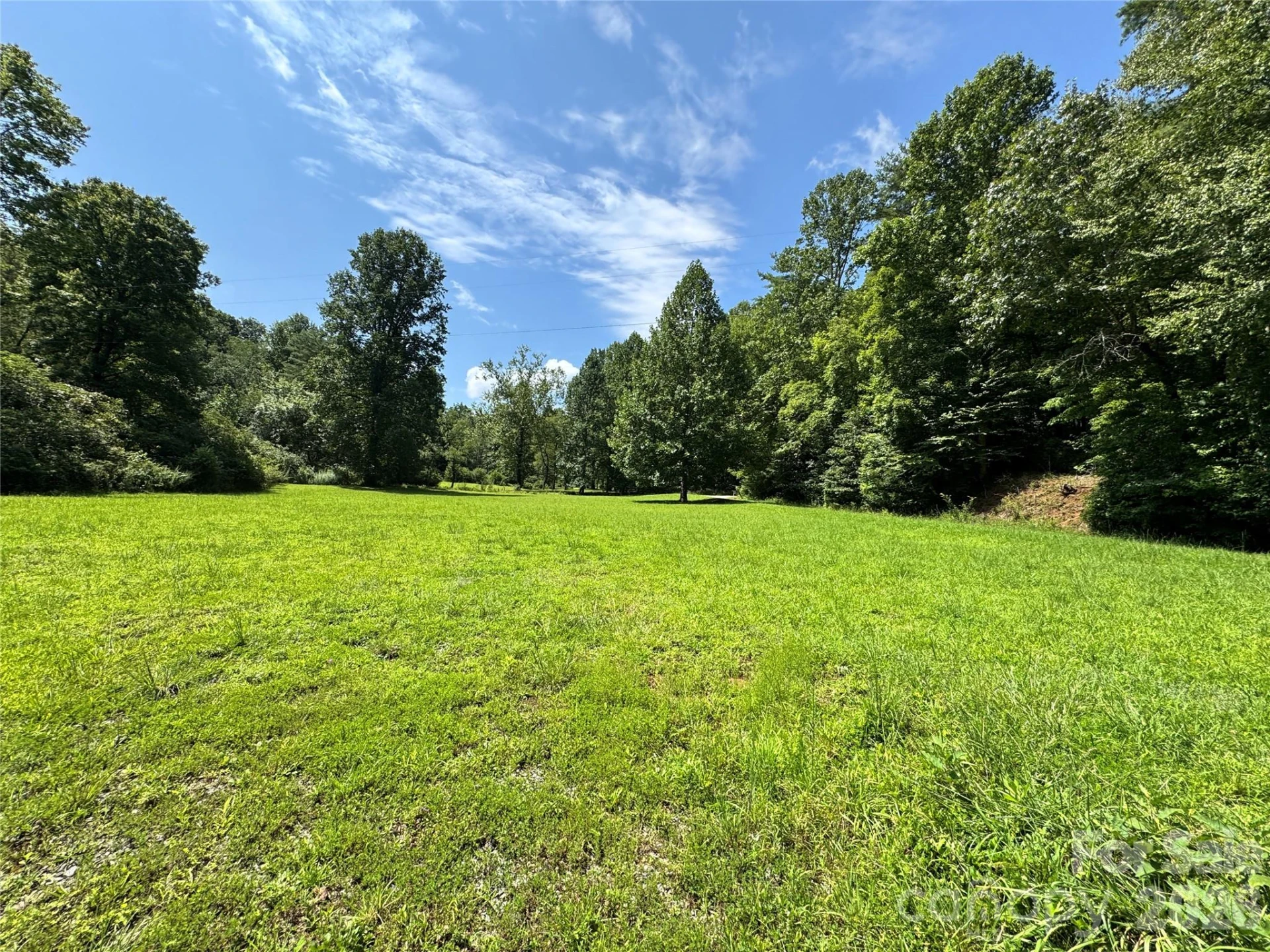 361 Rooster Cove - Photo 6
