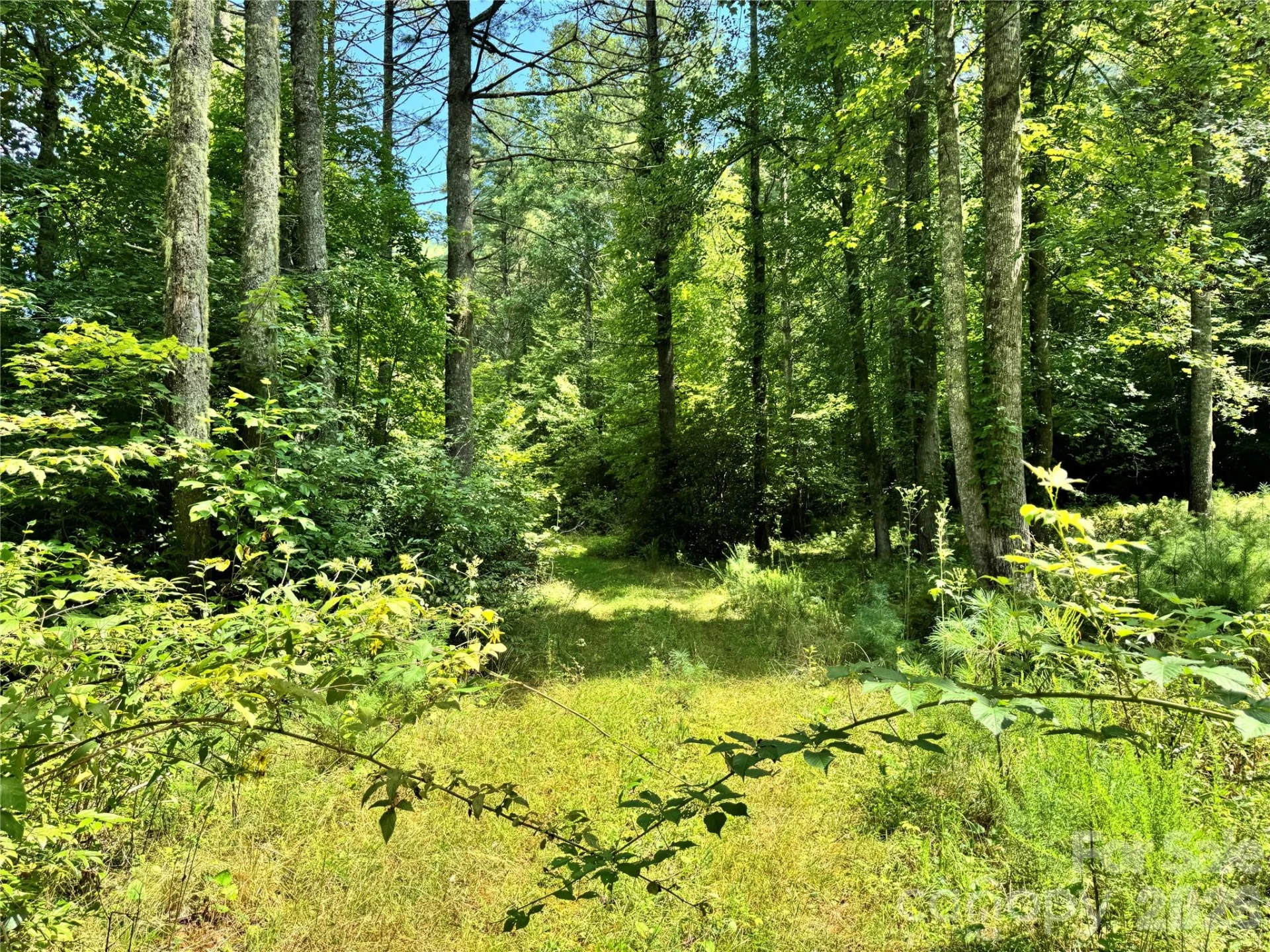 361 Rooster Cove - Photo 12