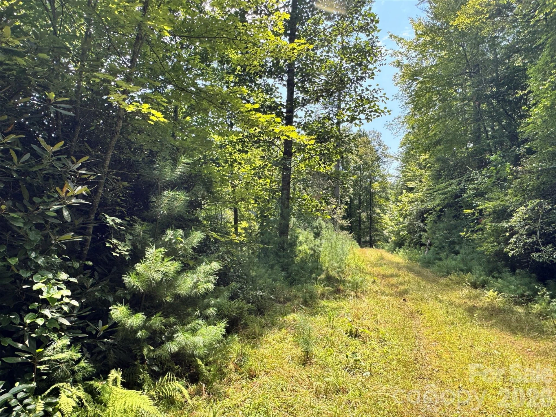361 Rooster Cove - Photo 14