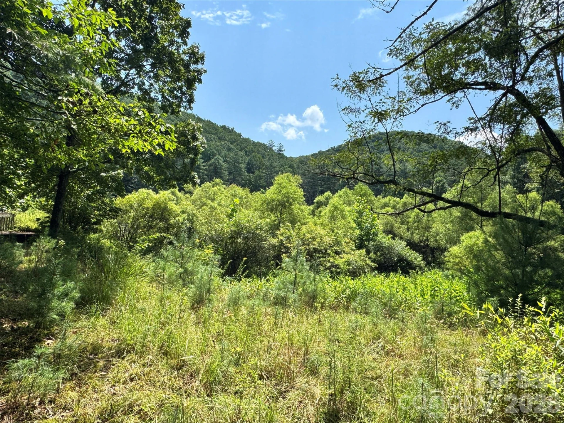 361 Rooster Cove - Photo 15
