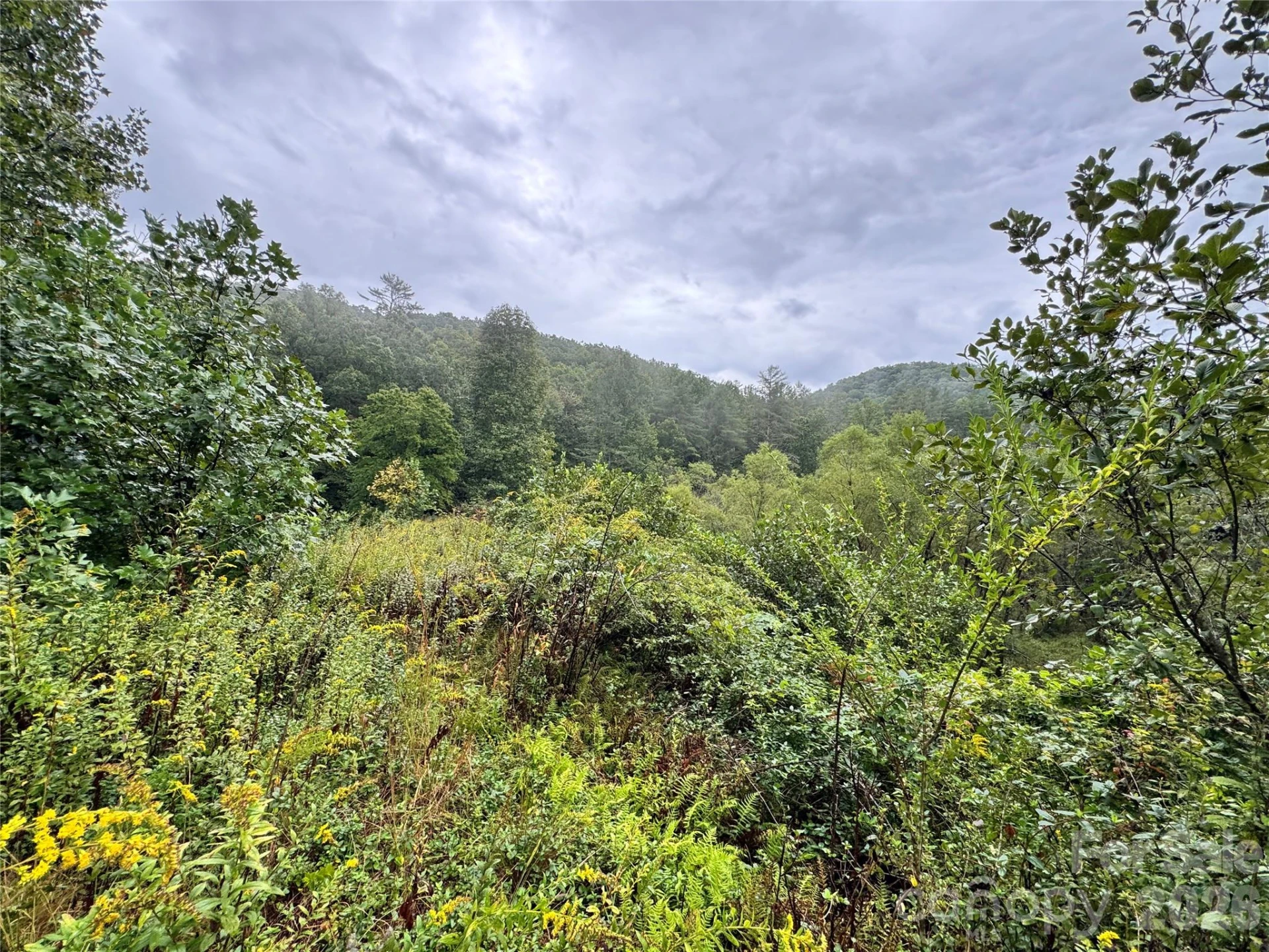 361 Rooster Cove - Photo 30
