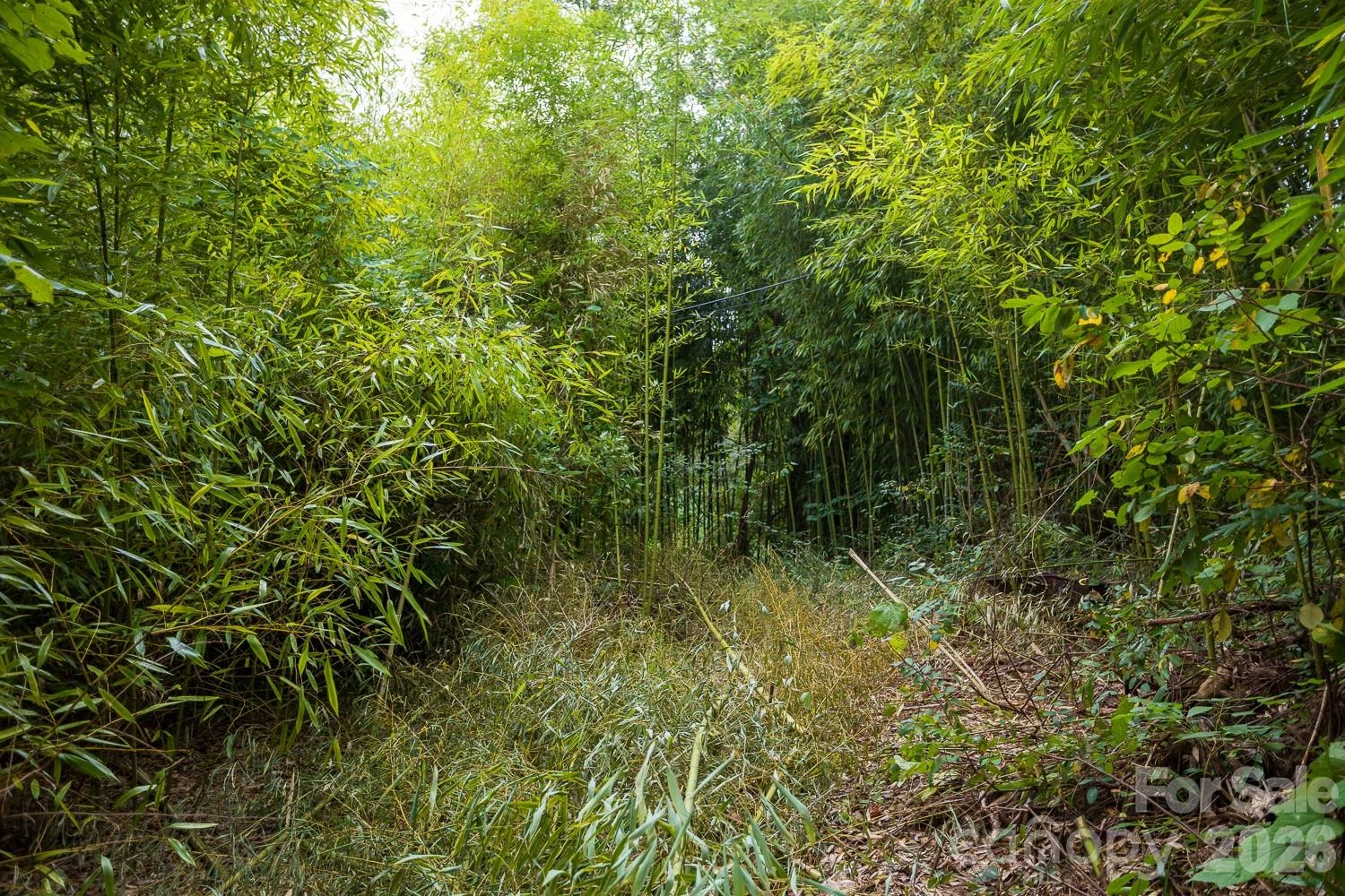 55 Blalock Avenue - Photo 15