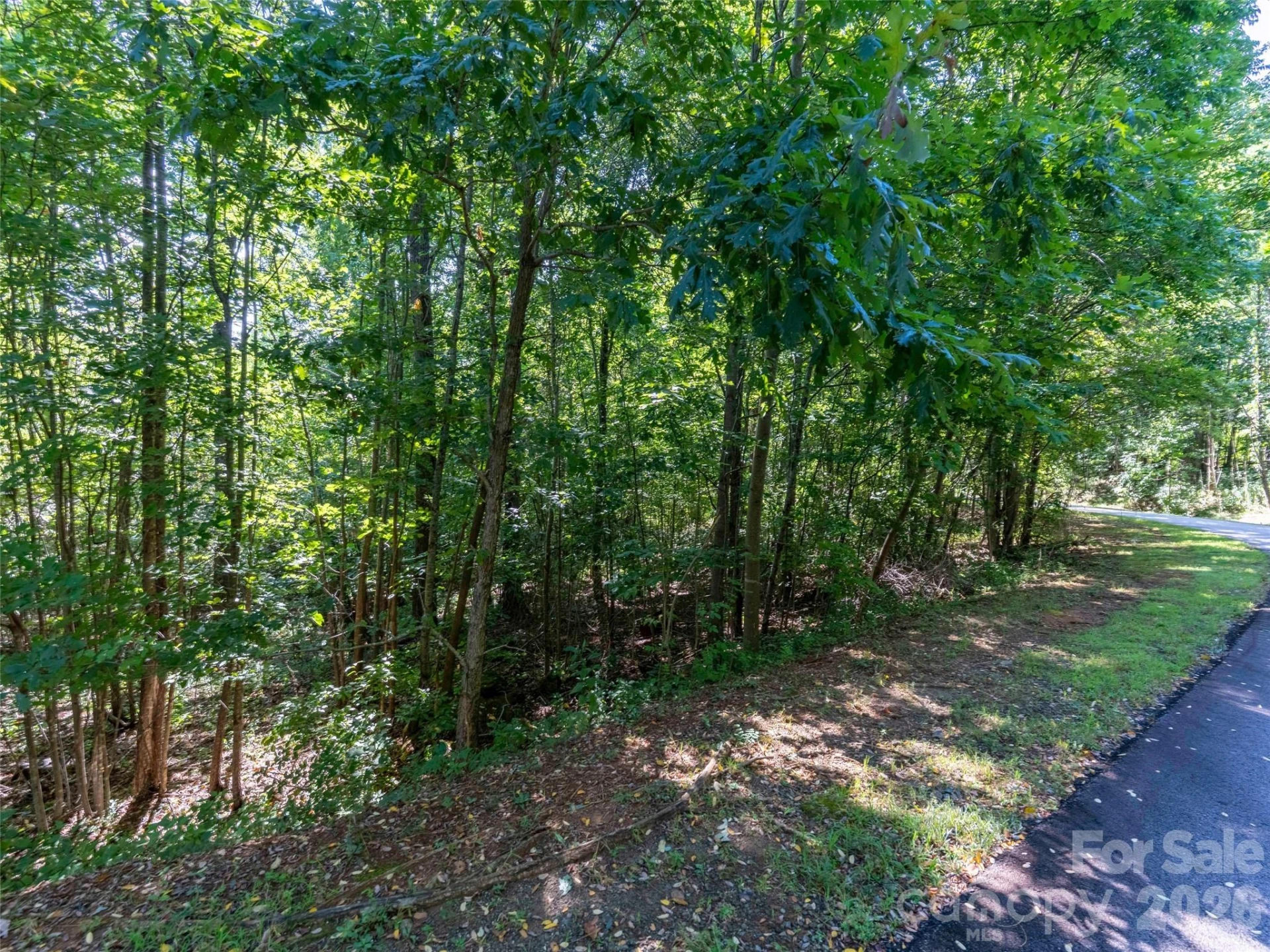 0 Cherry Hill #221 - Photo 3