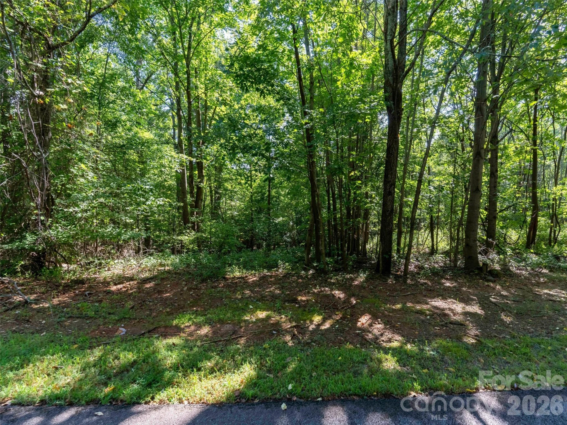 0 Cherry Hill #221 - Photo 4