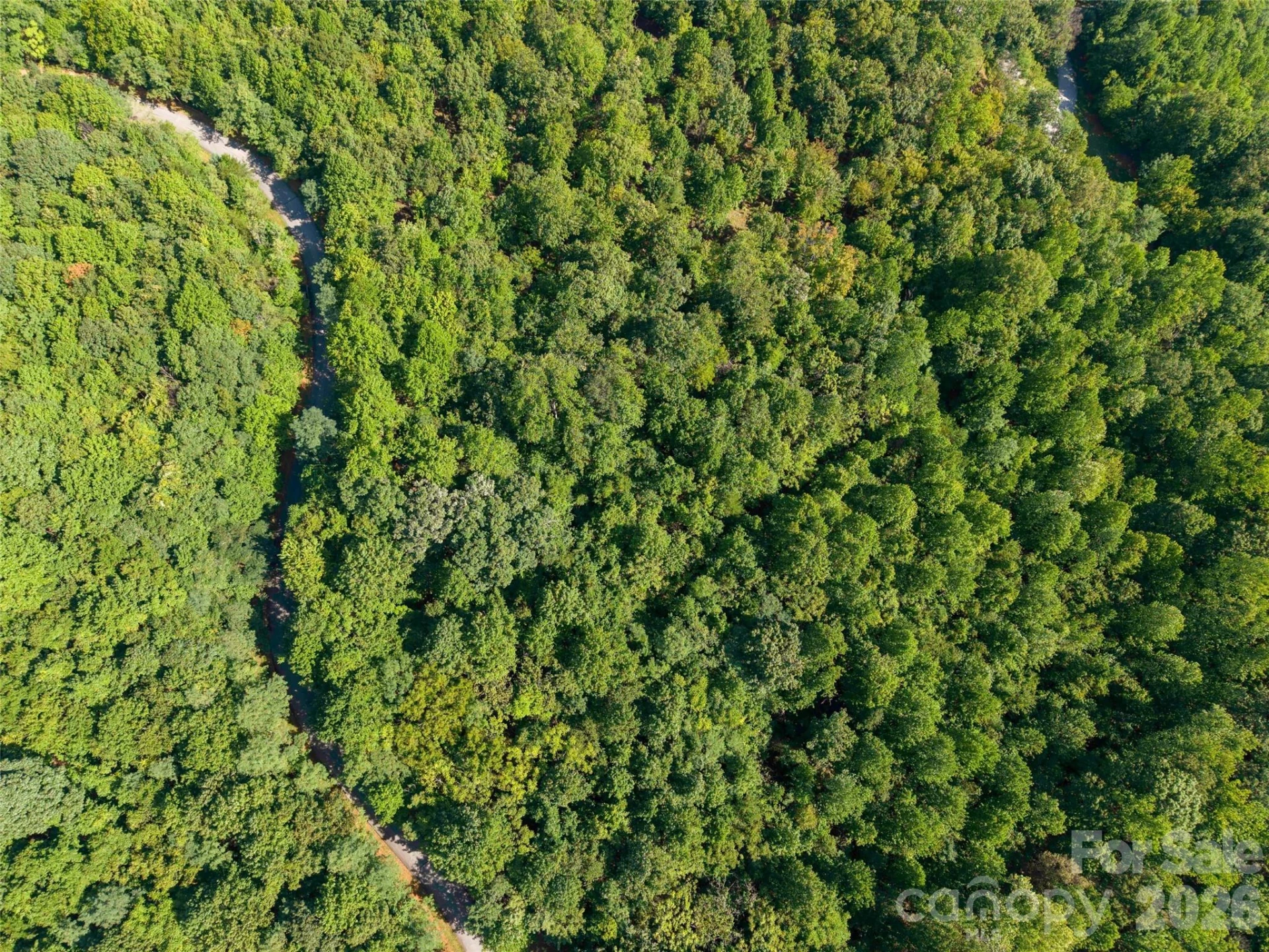 0 Cherry Hill #221 - Photo 9
