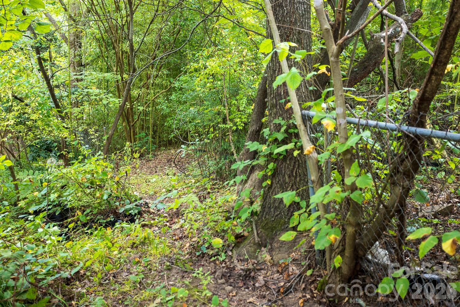 55 Blalock Avenue - Photo 28