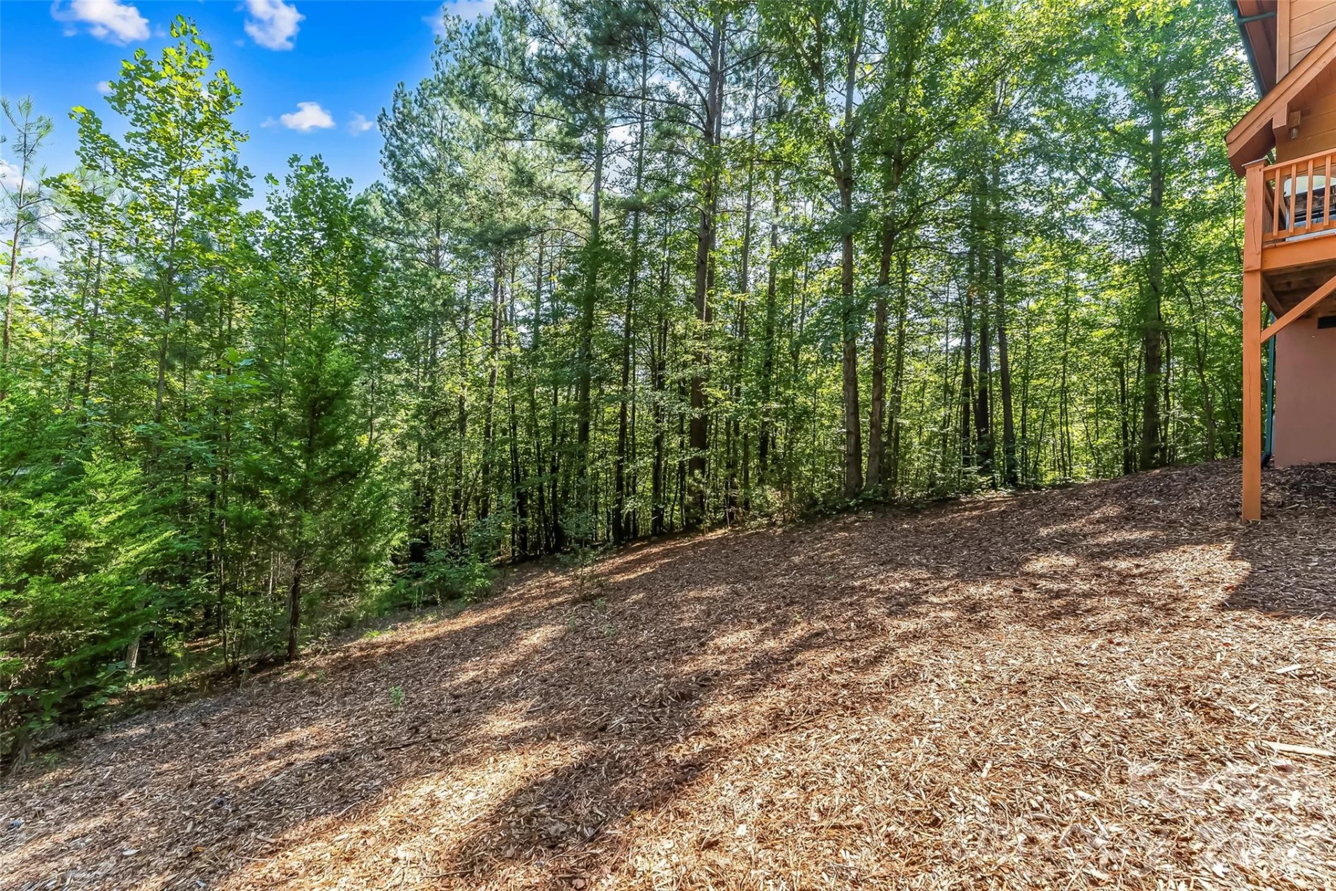 77 Dunn Trail - Photo 23