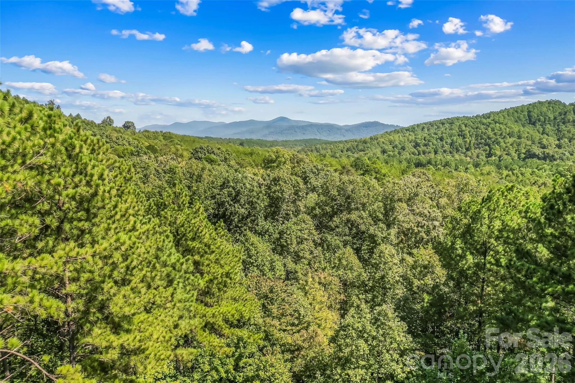 77 Dunn Trail - Photo 29