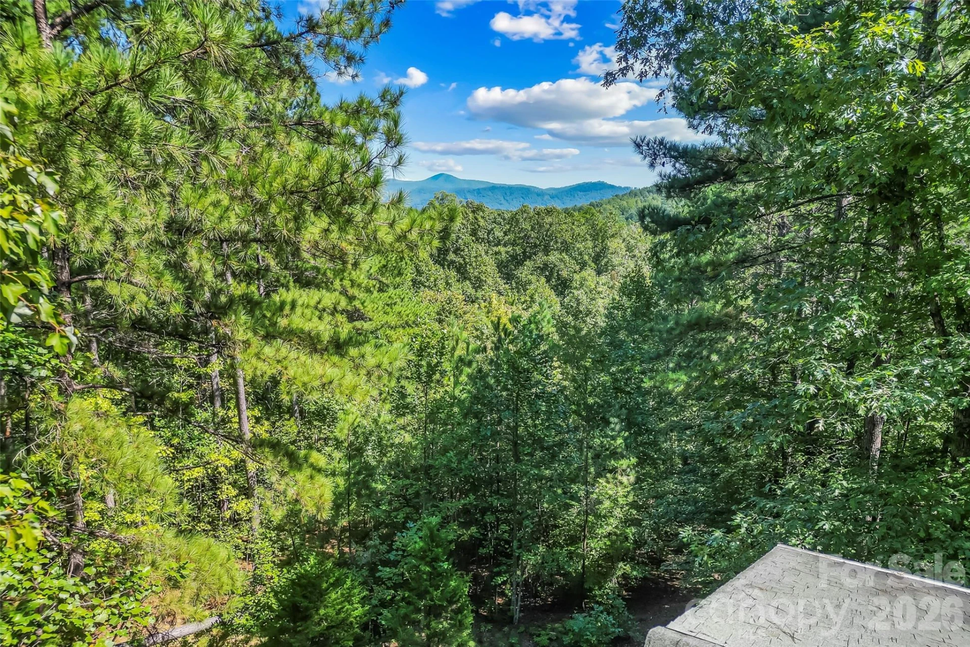 77 Dunn Trail - Photo 30