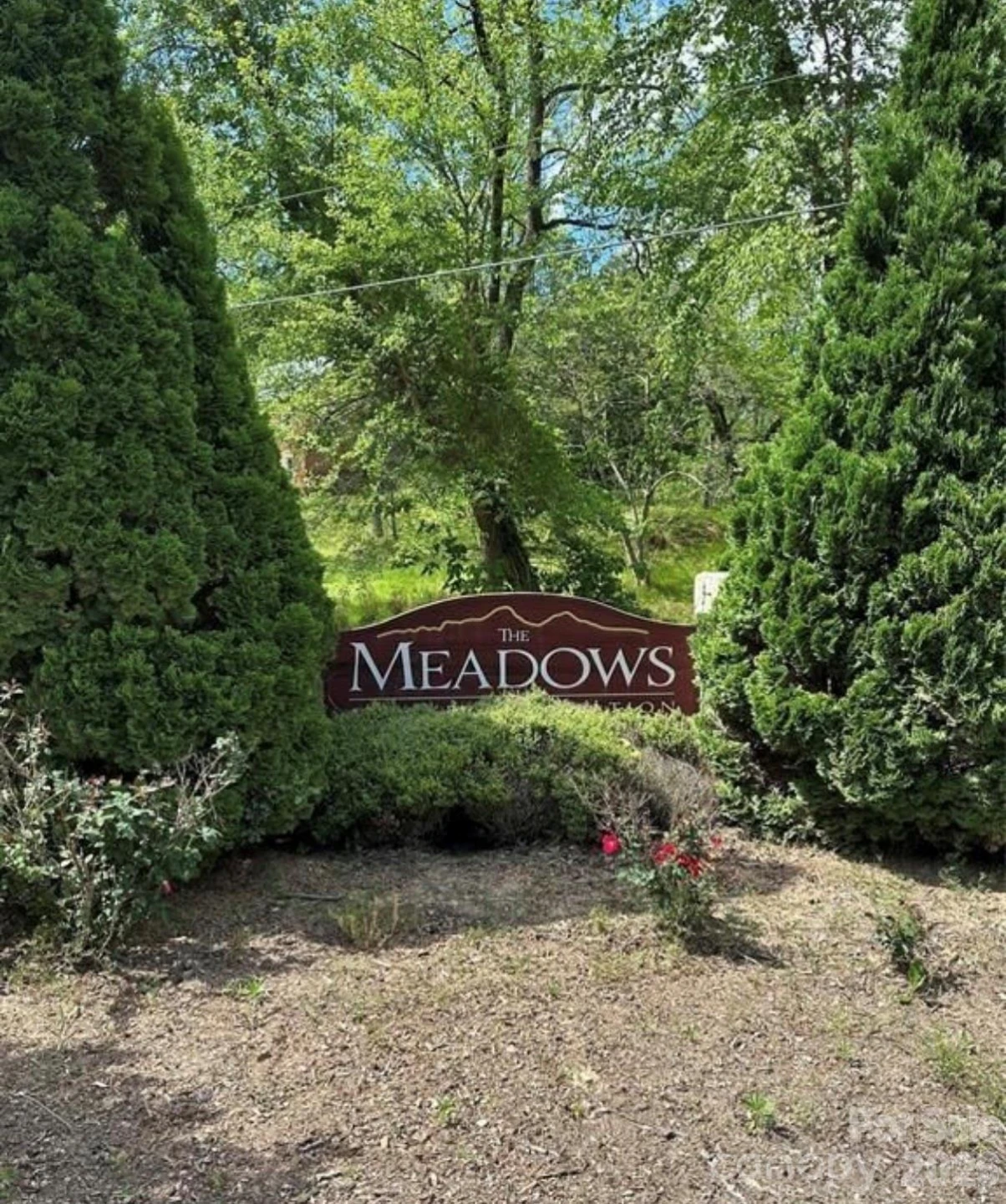 91 Meadows Station Drive - Photo 2