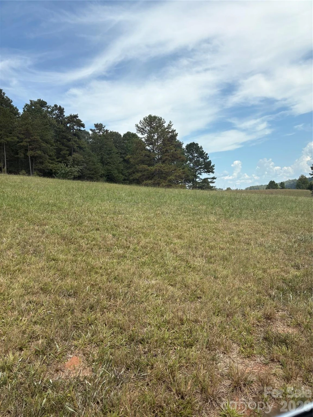 91 Meadows Station Drive - Photo 3