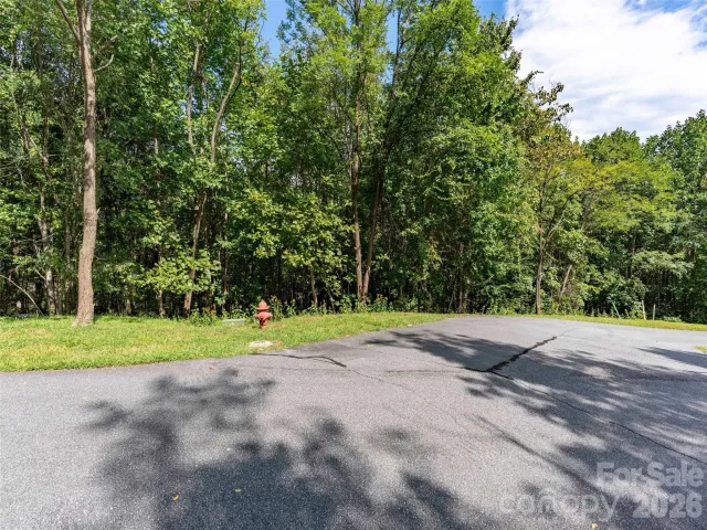 0 Deep Gap Farm Road W, Mill Spring, NC, 28756