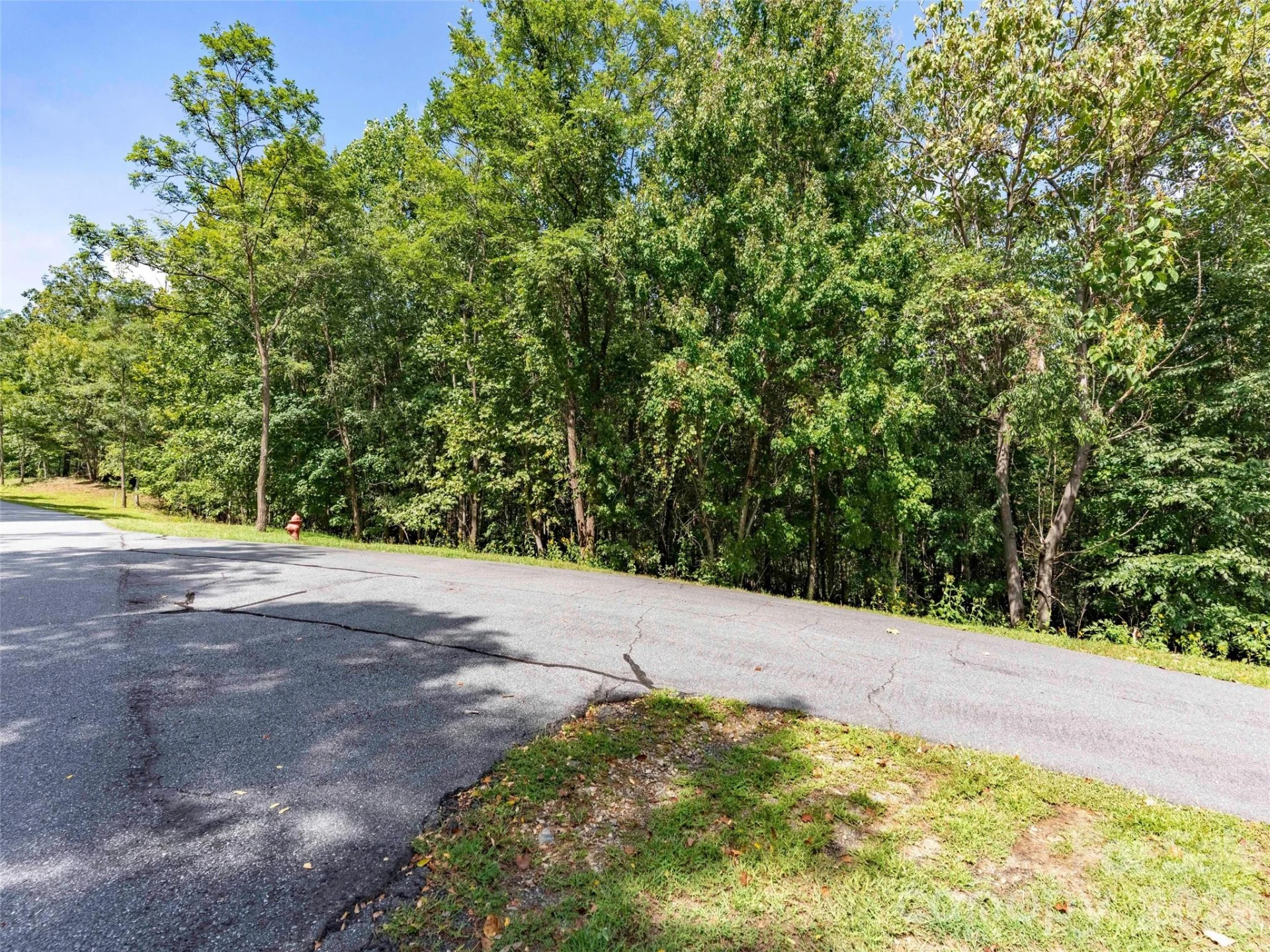 0 Deep Gap Farm Road W #2040 - Photo 3