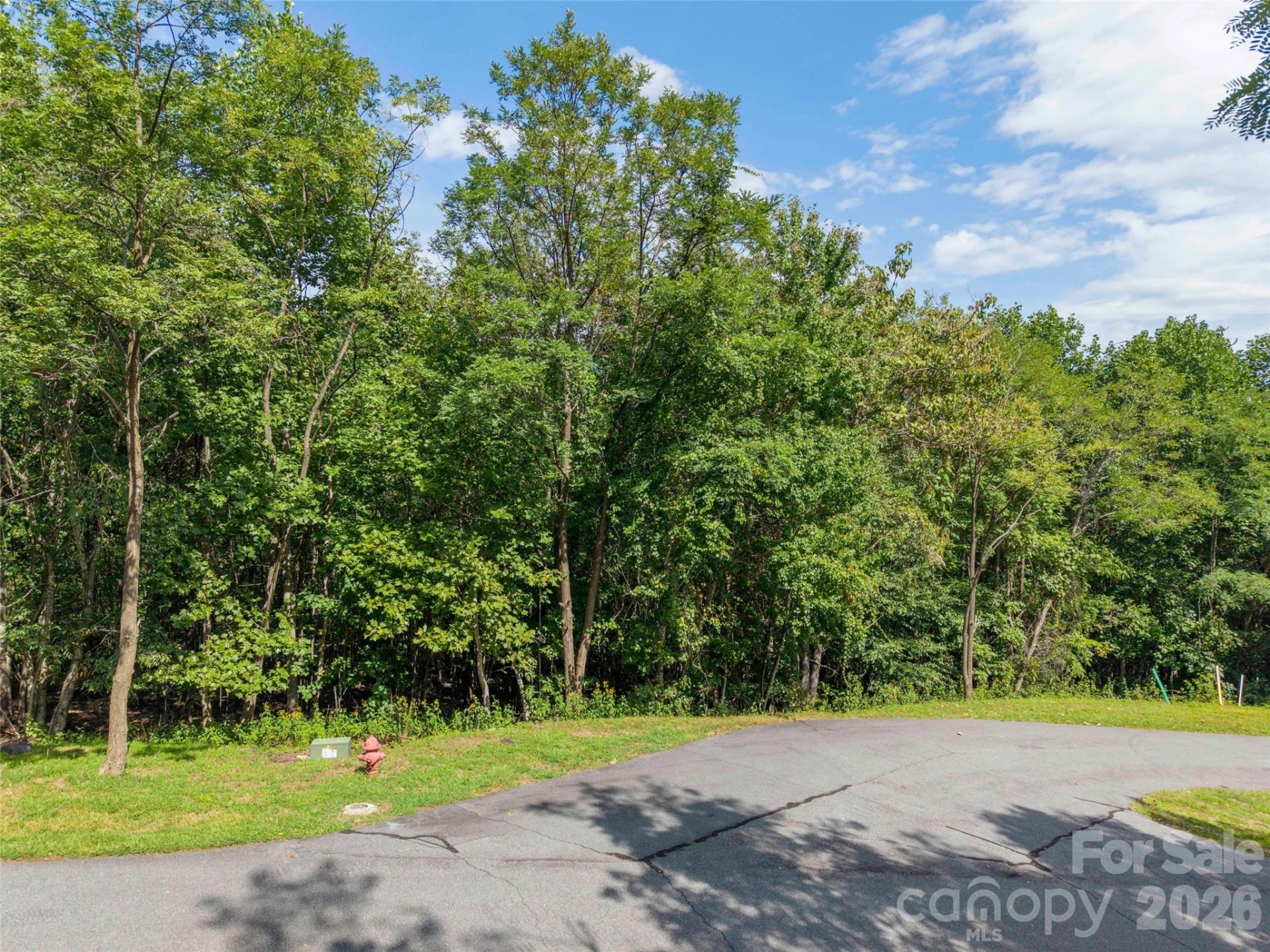 0 Deep Gap Farm Road W #2040 - Photo 4