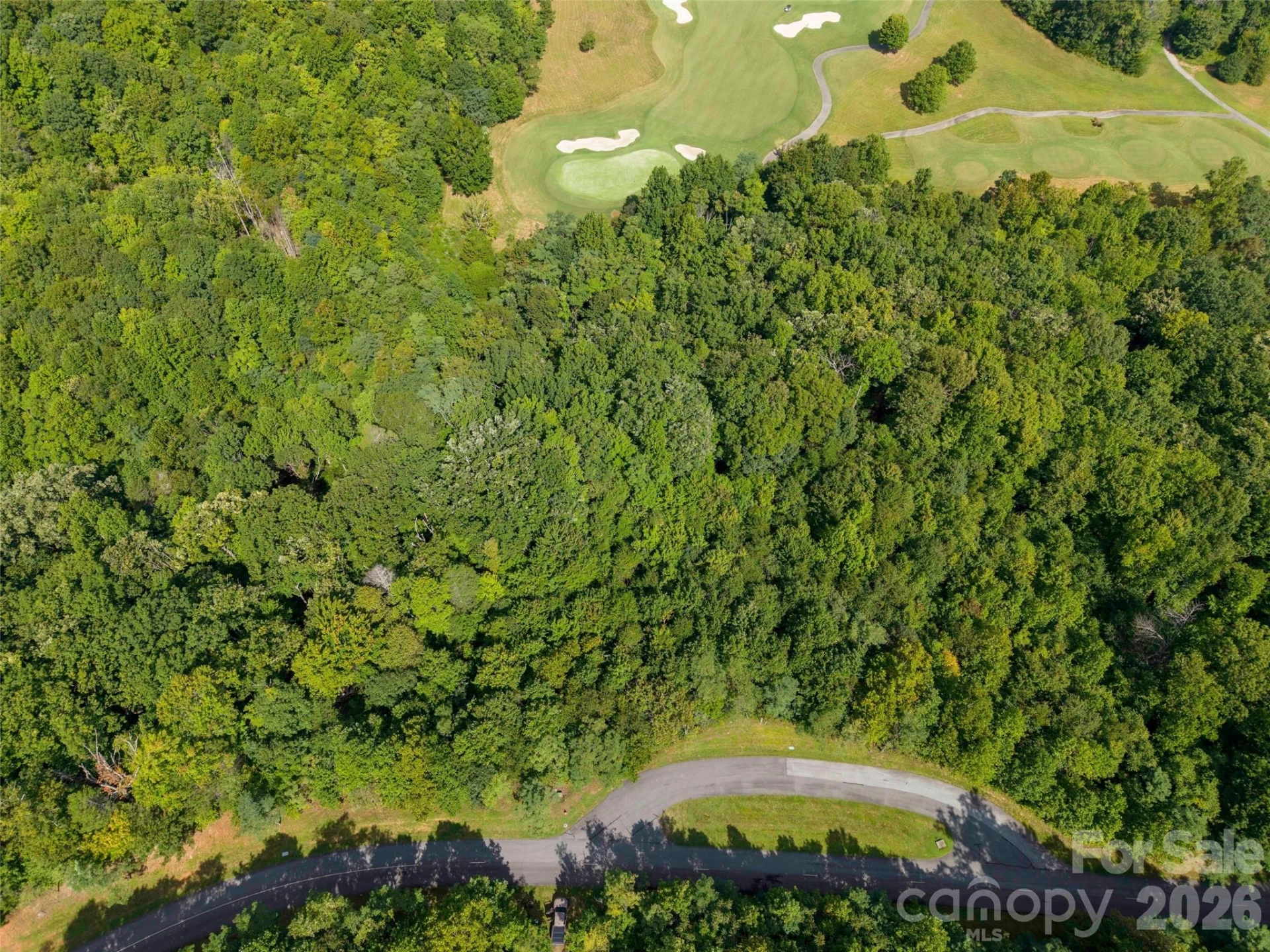 0 Deep Gap Farm Road W #2040 - Photo 7