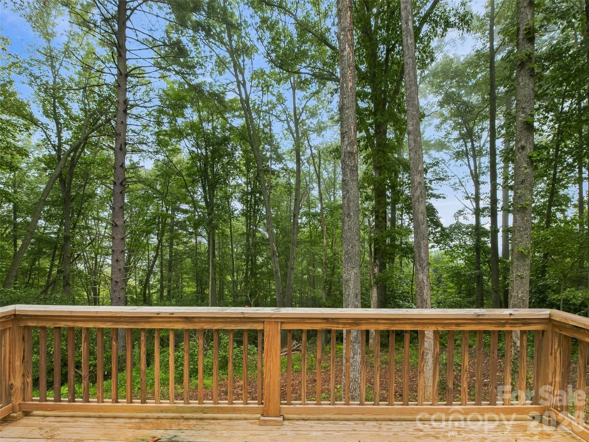 552 Bass Lake Drive - Photo 39