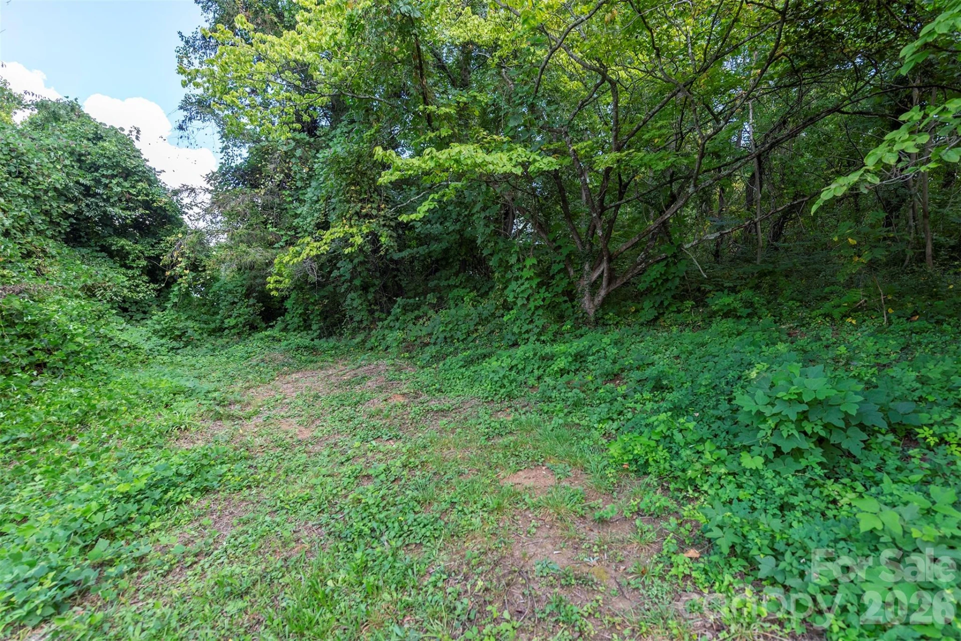 9999 Weaver Street - Photo 2