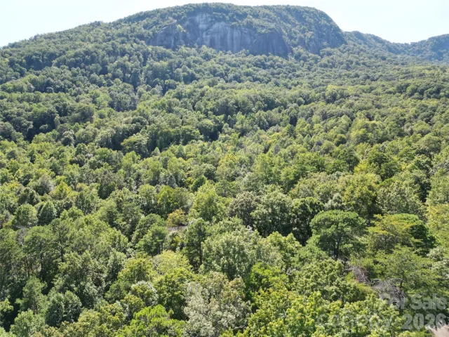 Lot 124, 125, & 101 Banjo Court, Lake Lure, NC, 28746