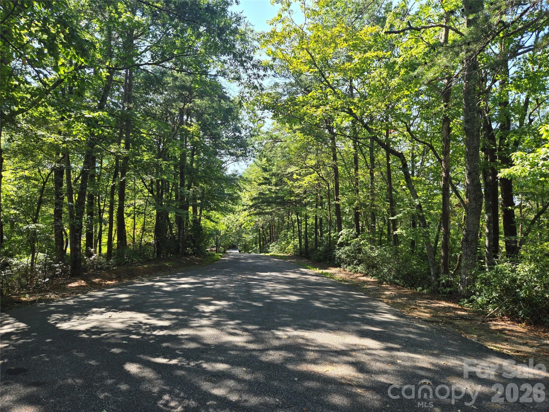 Lot 124, 125, & 101 Banjo Court - Photo 3