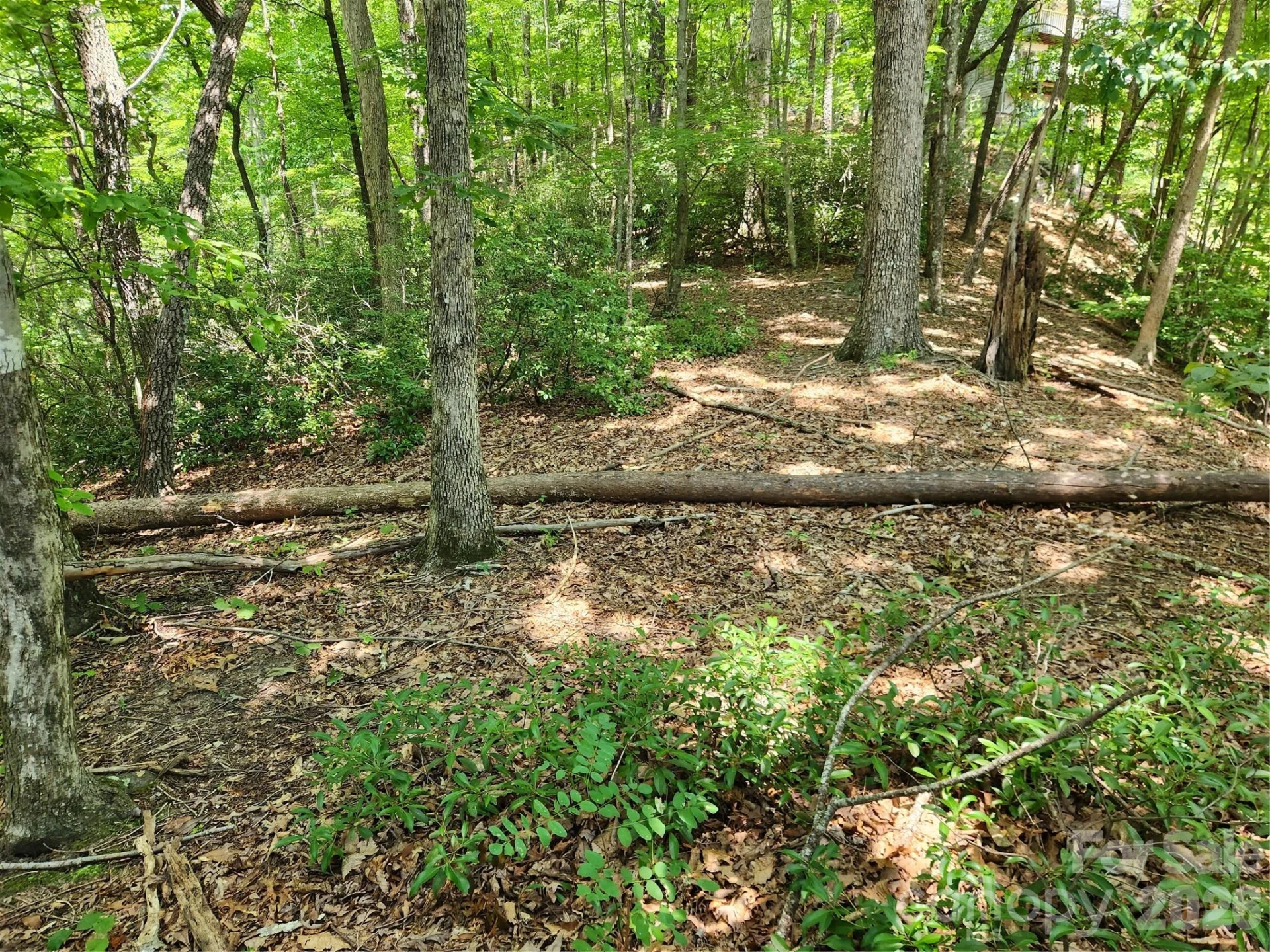 Lot 124, 125, & 101 Banjo Court - Photo 4