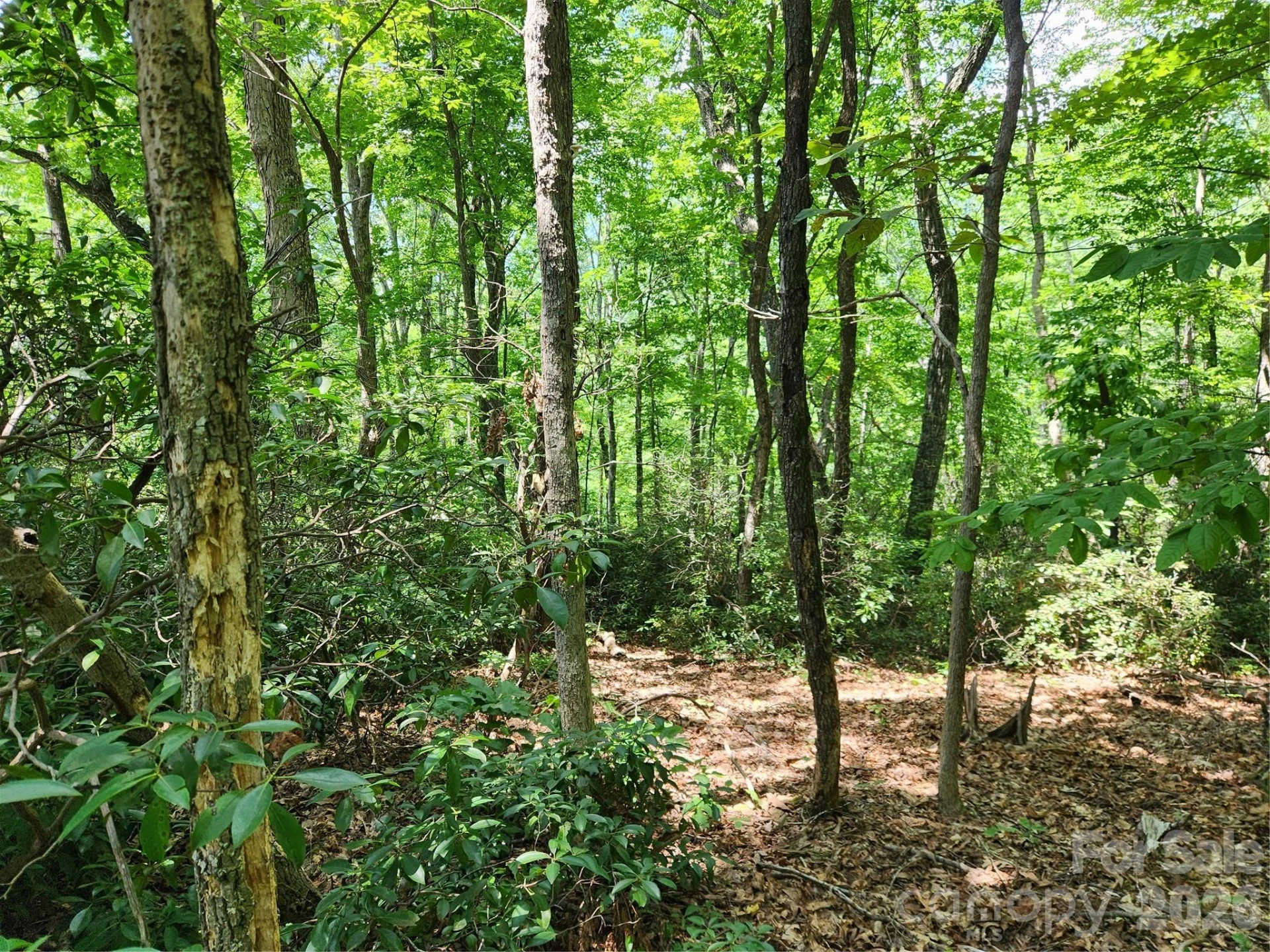 Lot 124, 125, & 101 Banjo Court - Photo 6