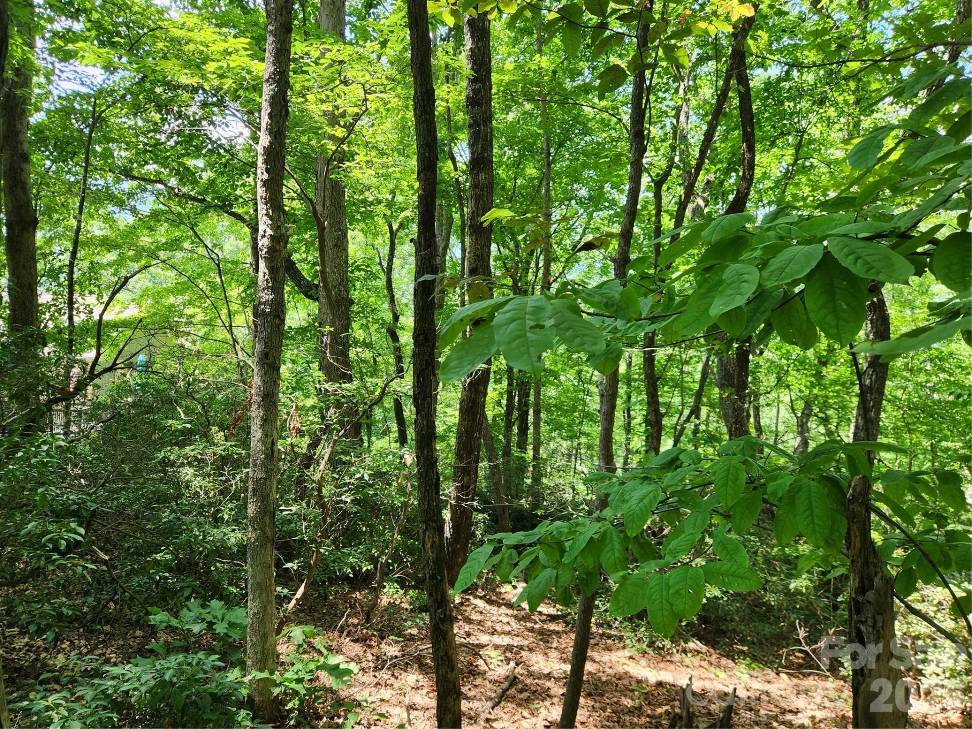 Lot 124, 125, & 101 Banjo Court - Photo 9