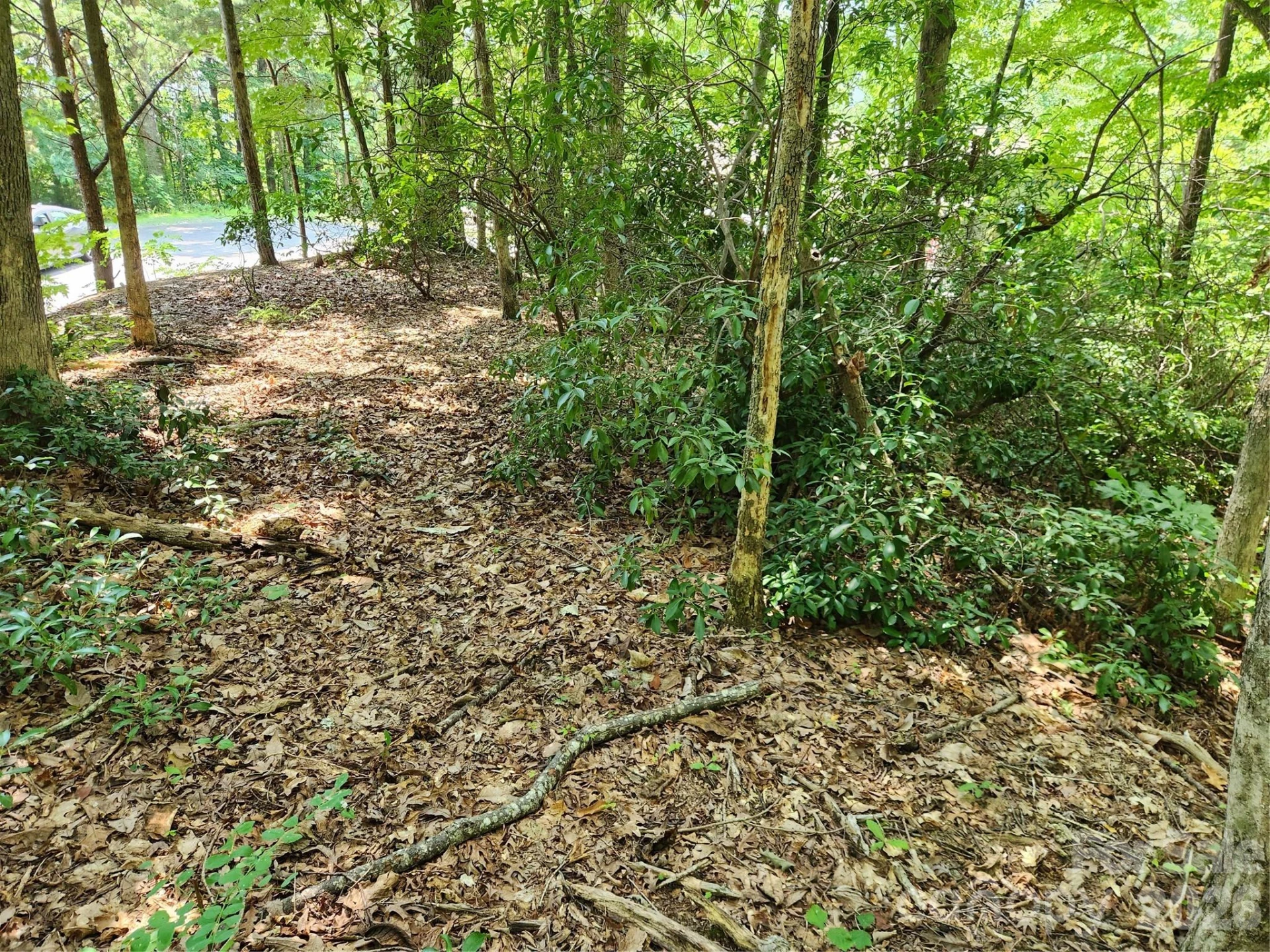 Lot 124, 125, & 101 Banjo Court - Photo 10