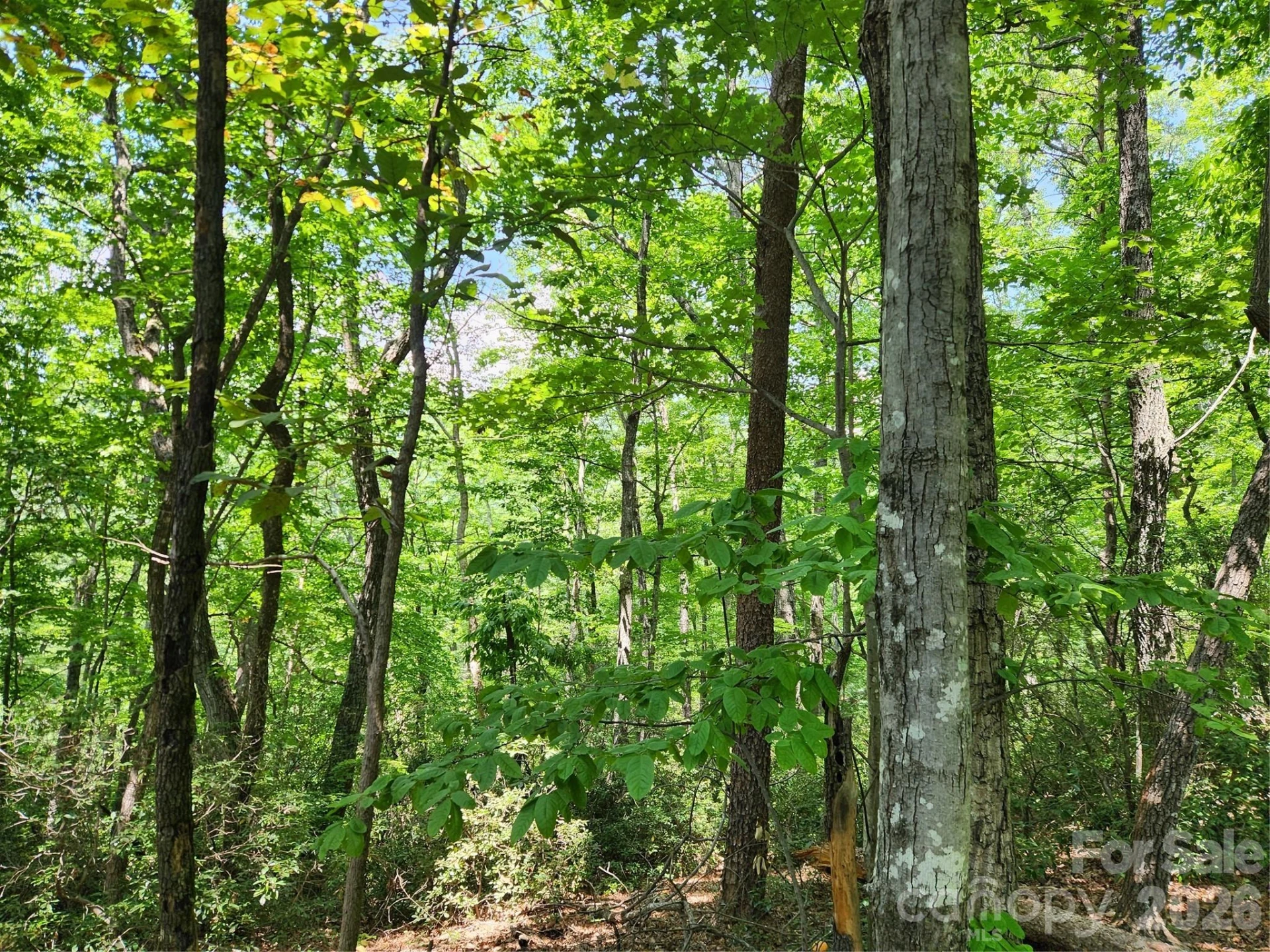 Lot 124, 125, & 101 Banjo Court - Photo 13