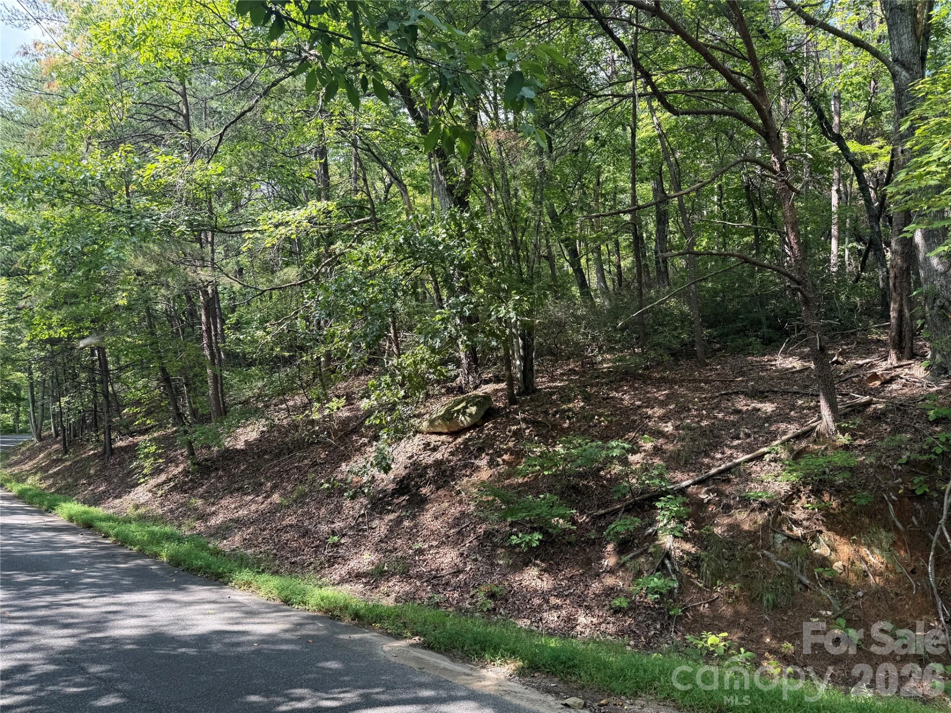 Lot 35 Roundabout Road - Photo 4