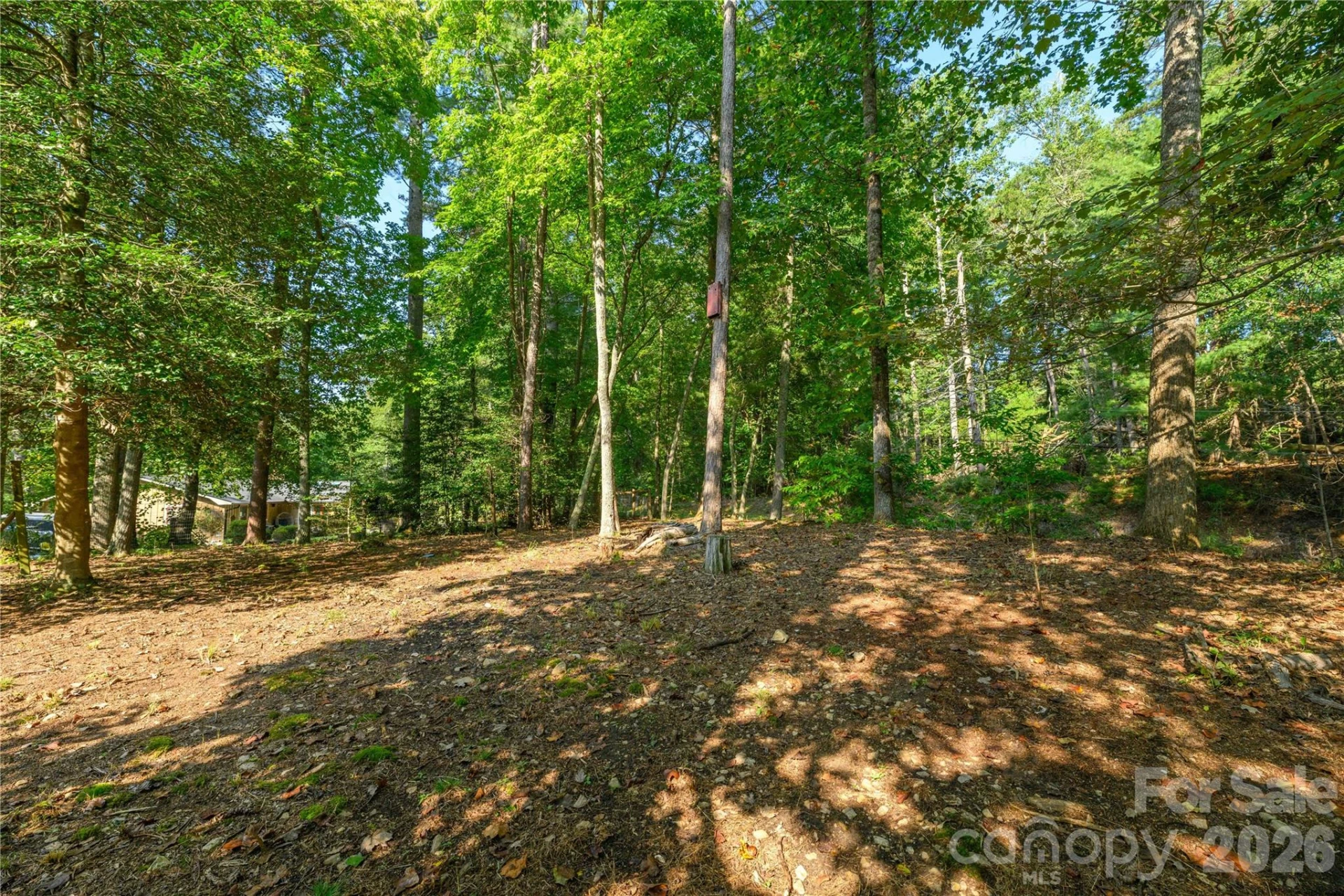106 Turner Lane - Photo 30