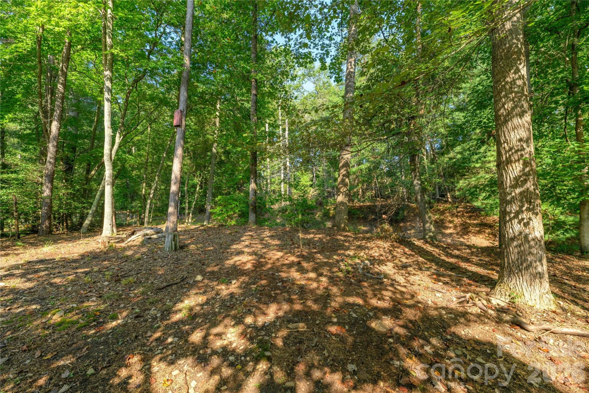 106 Turner Lane - Photo 31