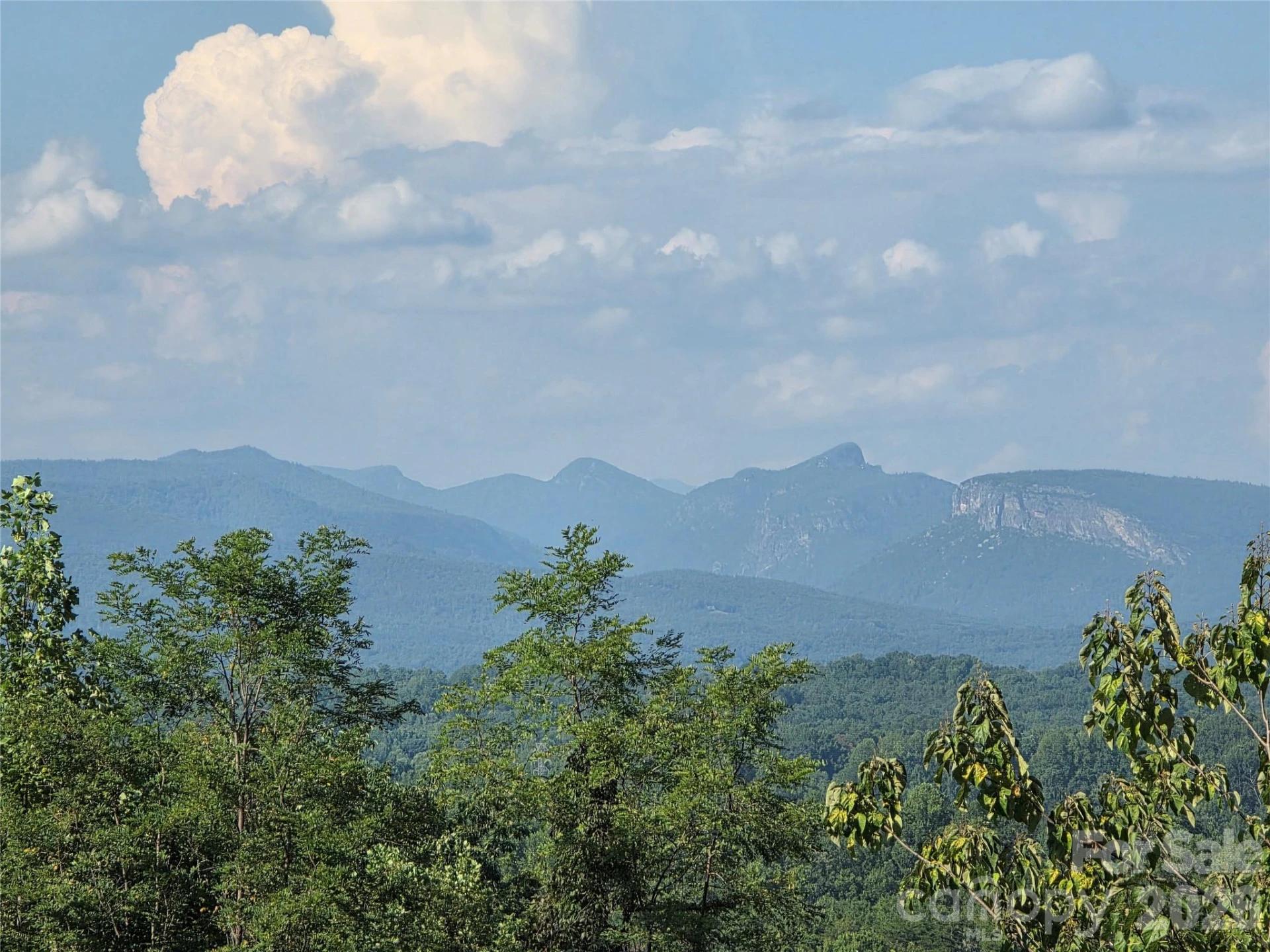 Lot 149 Big View Drive - Photo 3