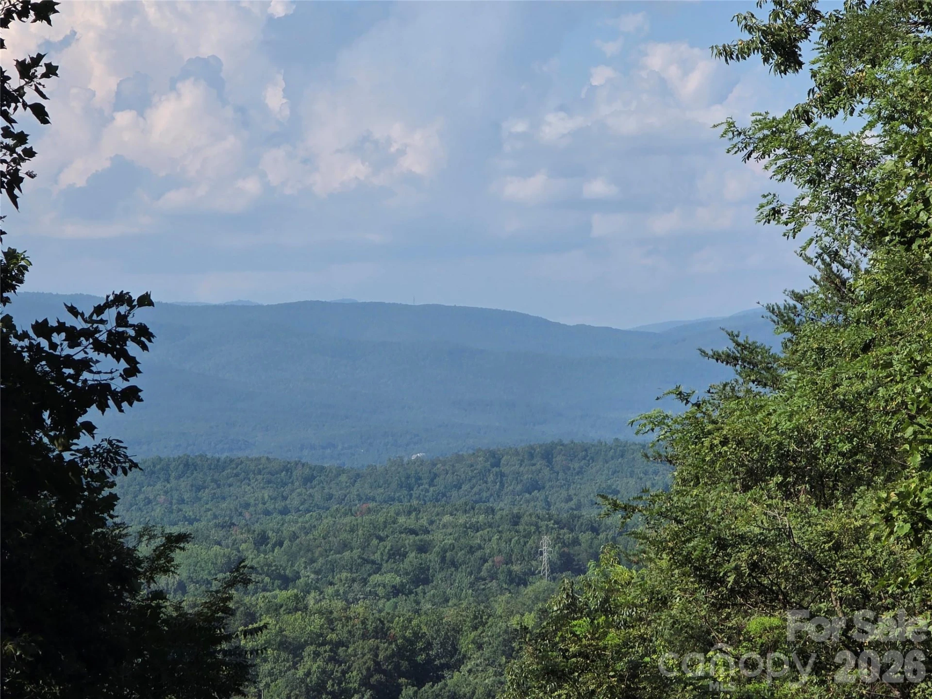 Lot 149 Big View Drive - Photo 4