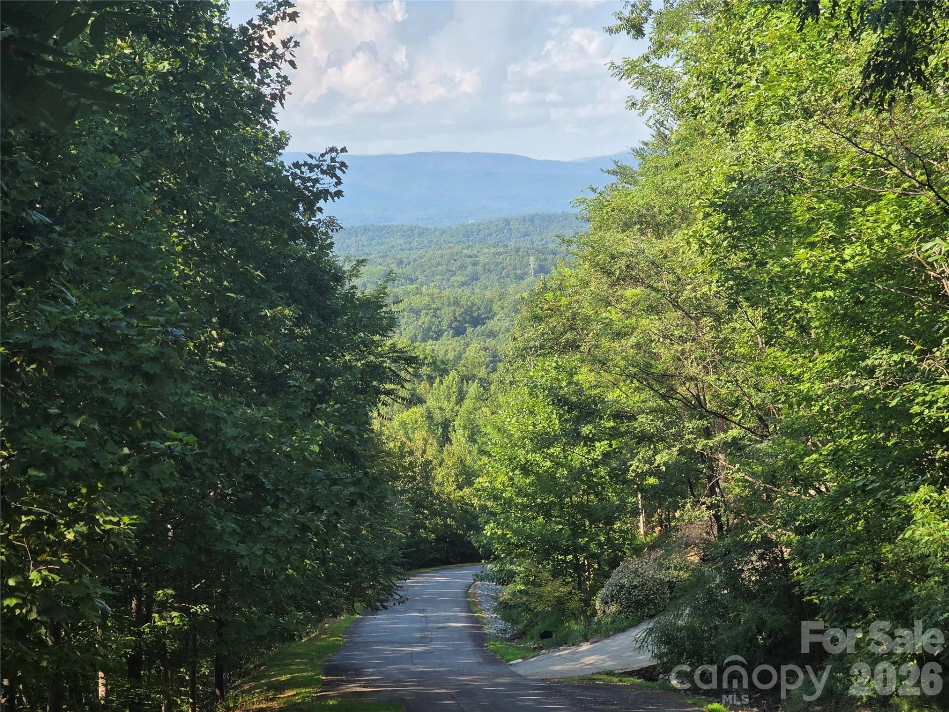Lot 149 Big View Drive - Photo 5