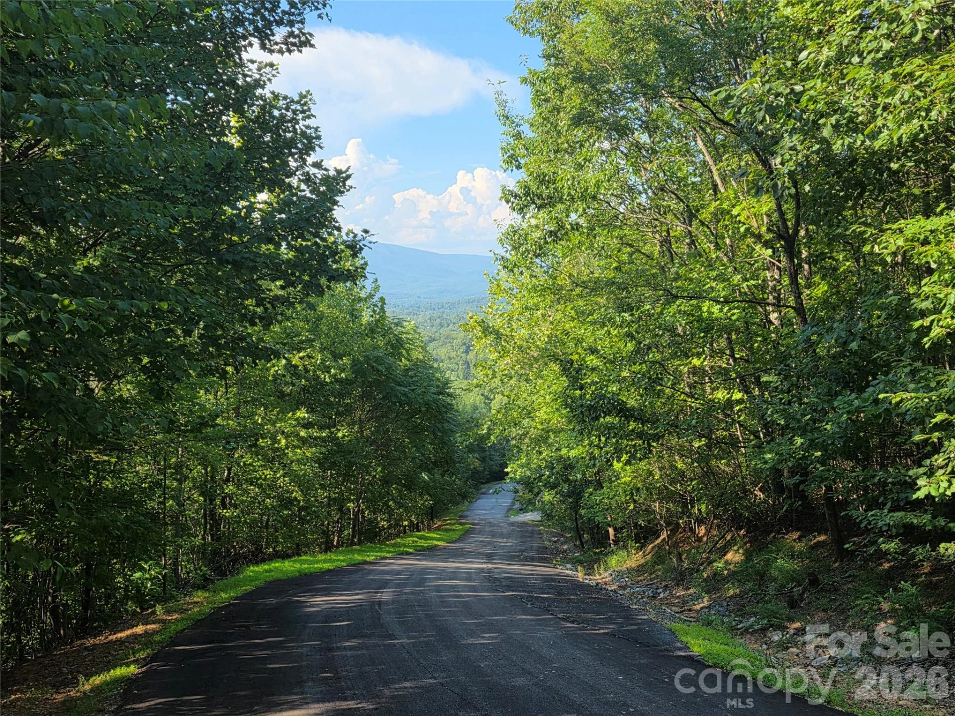 Lot 149 Big View Drive - Photo 6