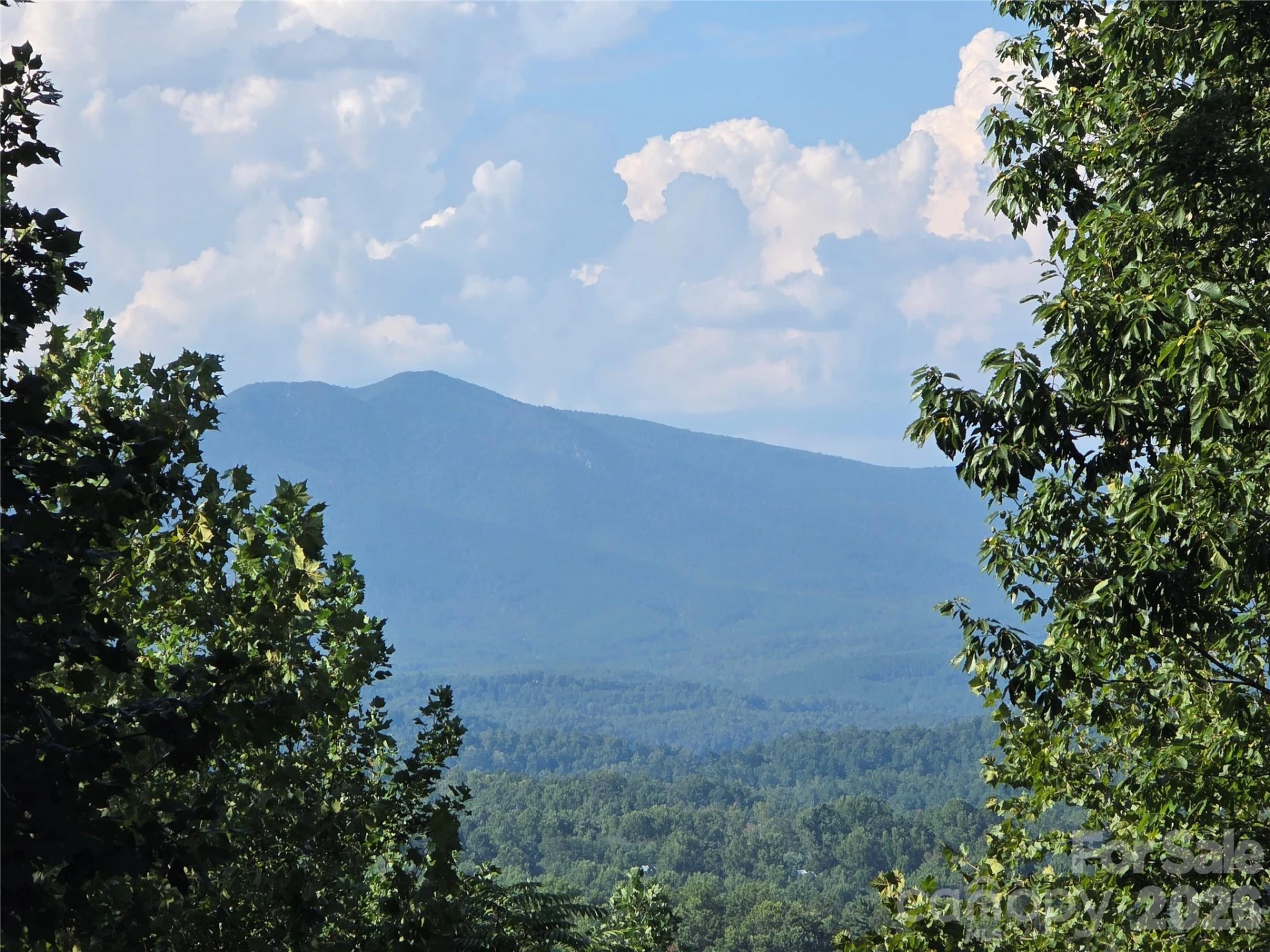 Lot 149 Big View Drive - Photo 7