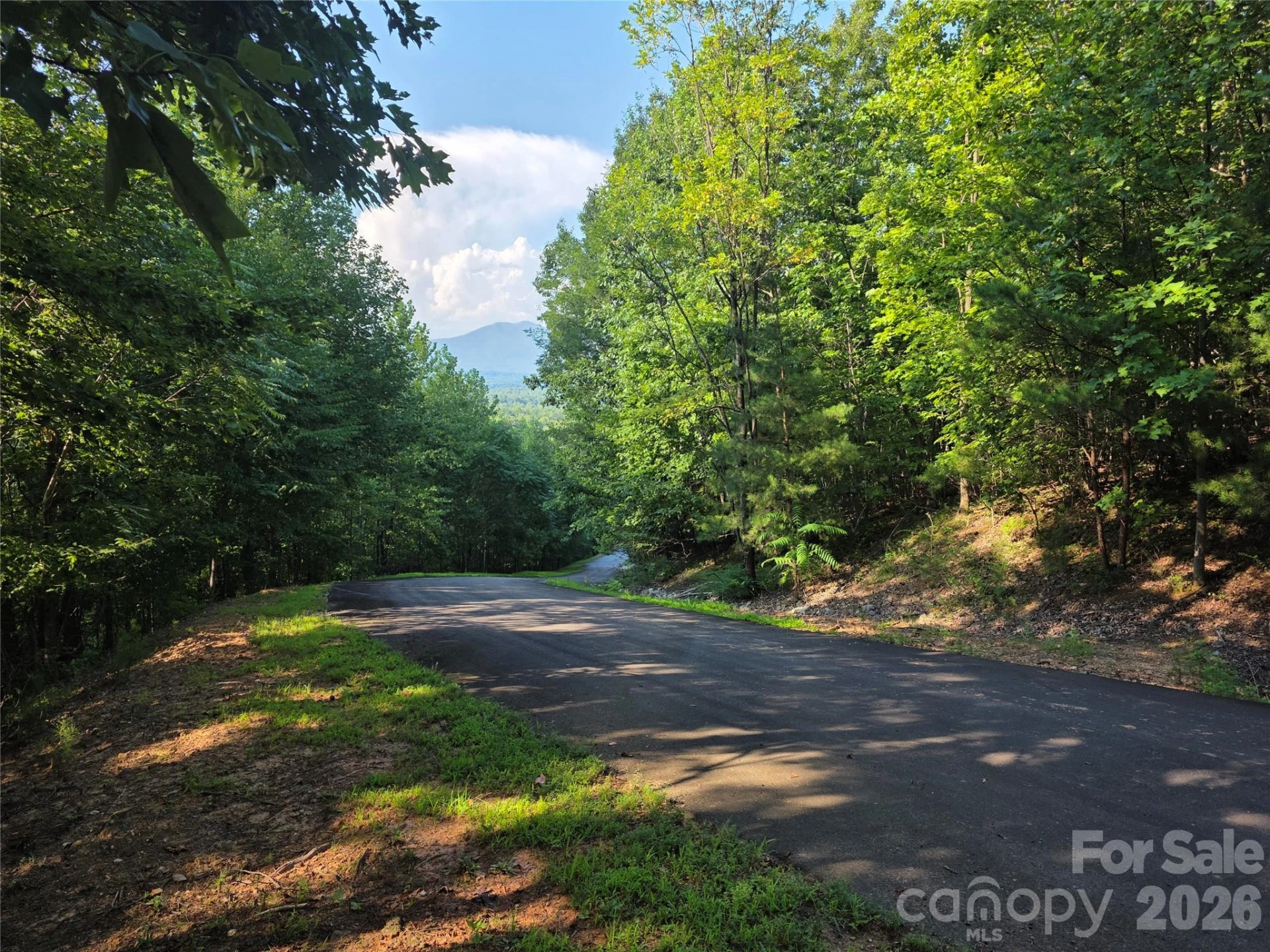 Lot 149 Big View Drive - Photo 8