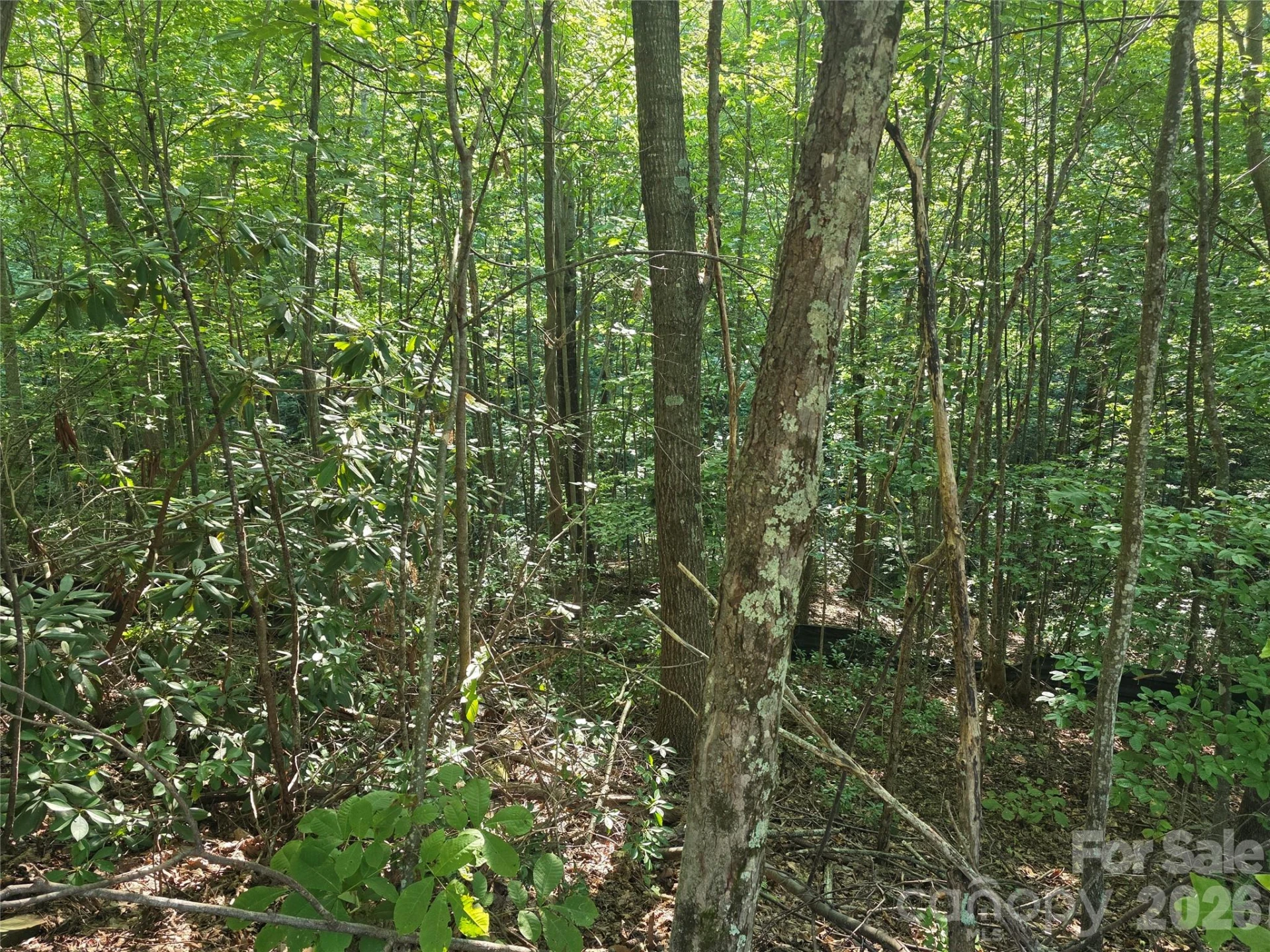 Lot 149 Big View Drive - Photo 9