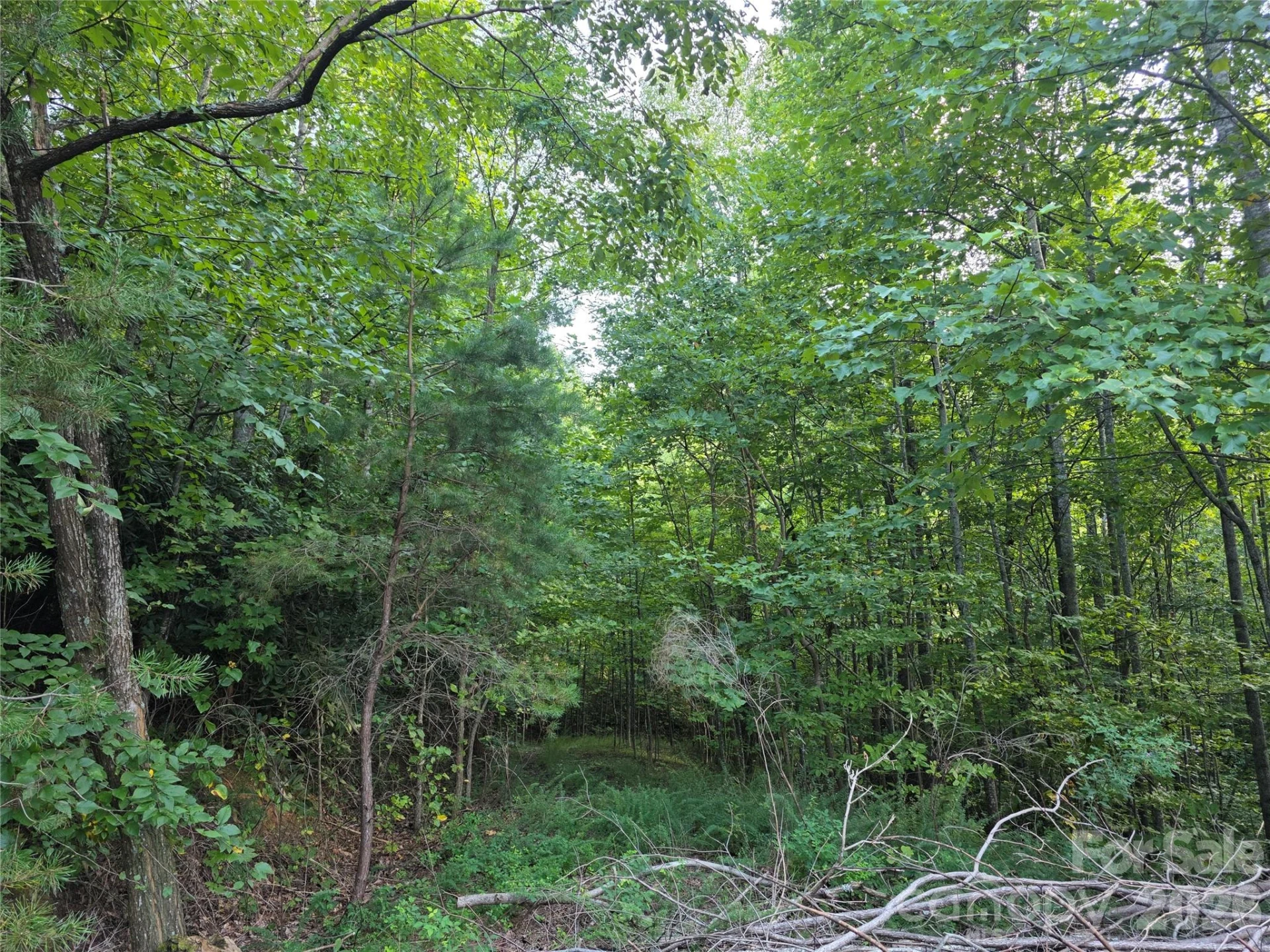 Lot 149 Big View Drive - Photo 10