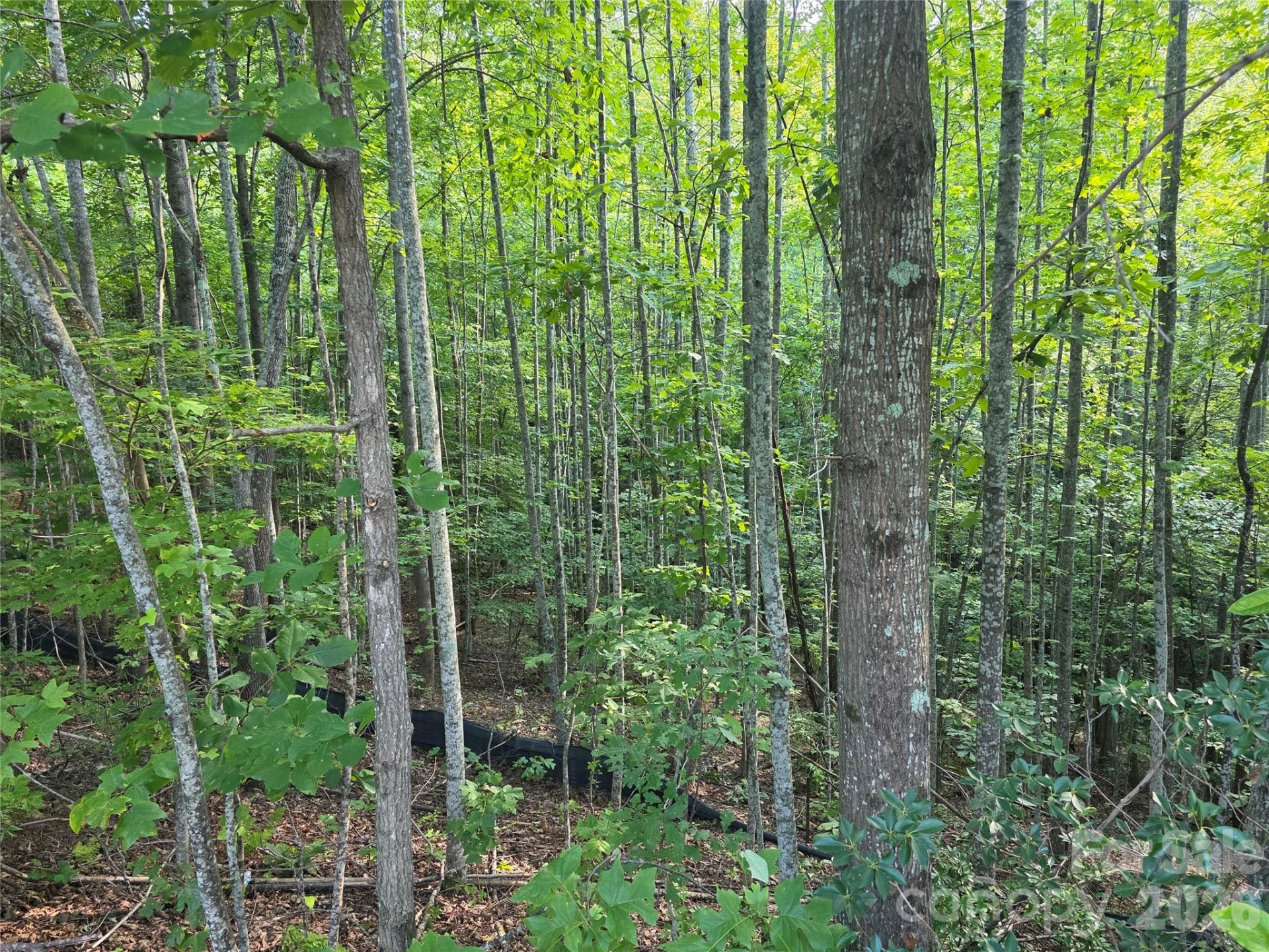 Lot 149 Big View Drive - Photo 11