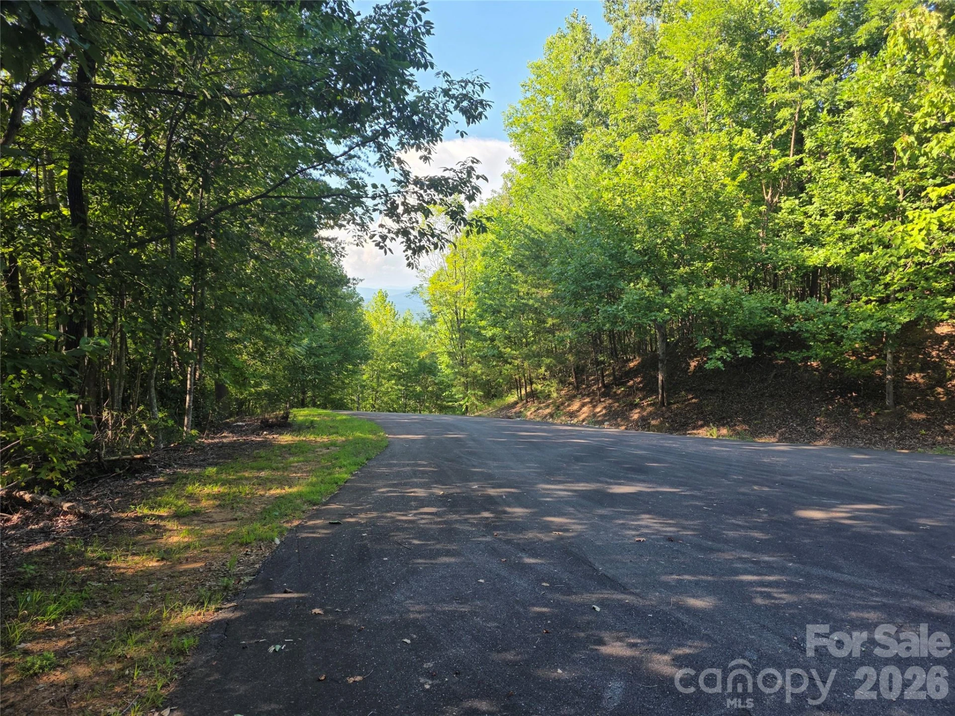 Lot 149 Big View Drive - Photo 13