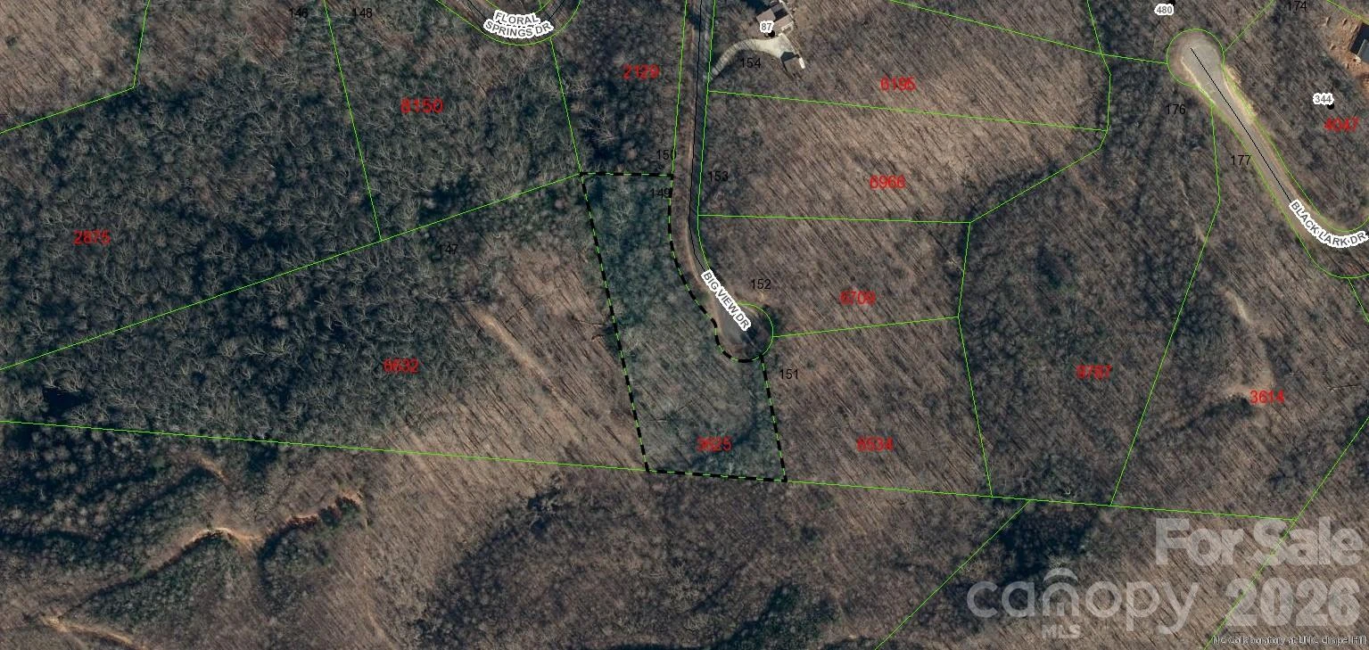 Lot 149 Big View Drive - Photo 14