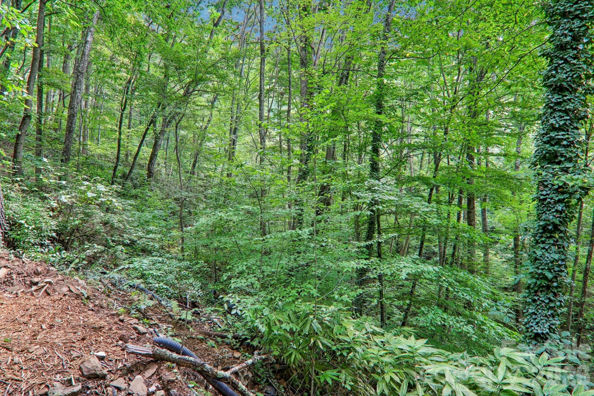 152 Dream Mountain Boulevard - Photo 22